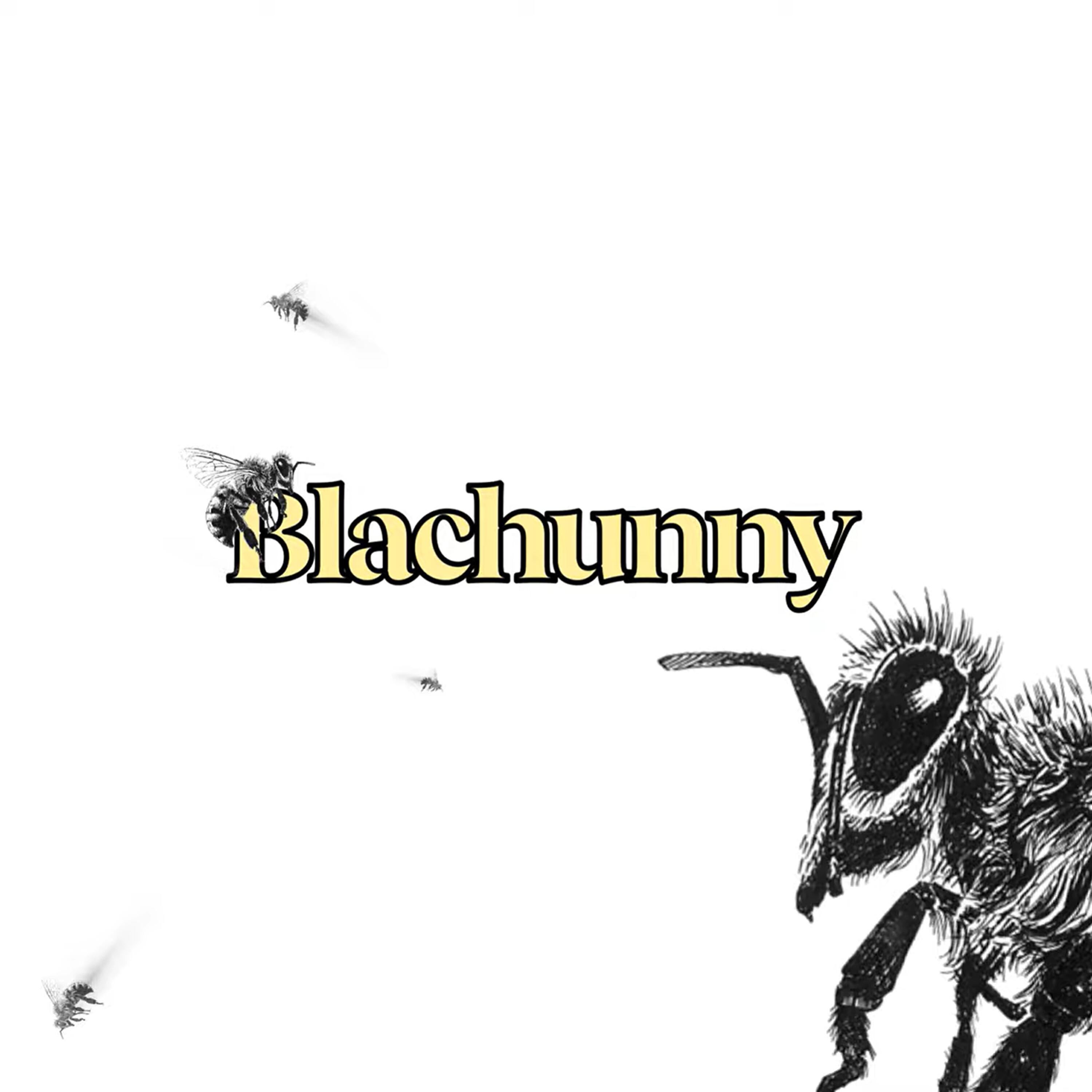 Релиз Blachunny
