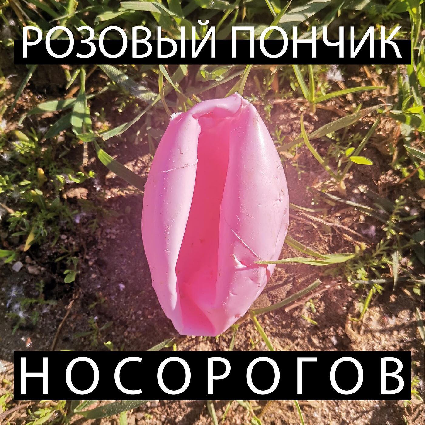 Носорогов