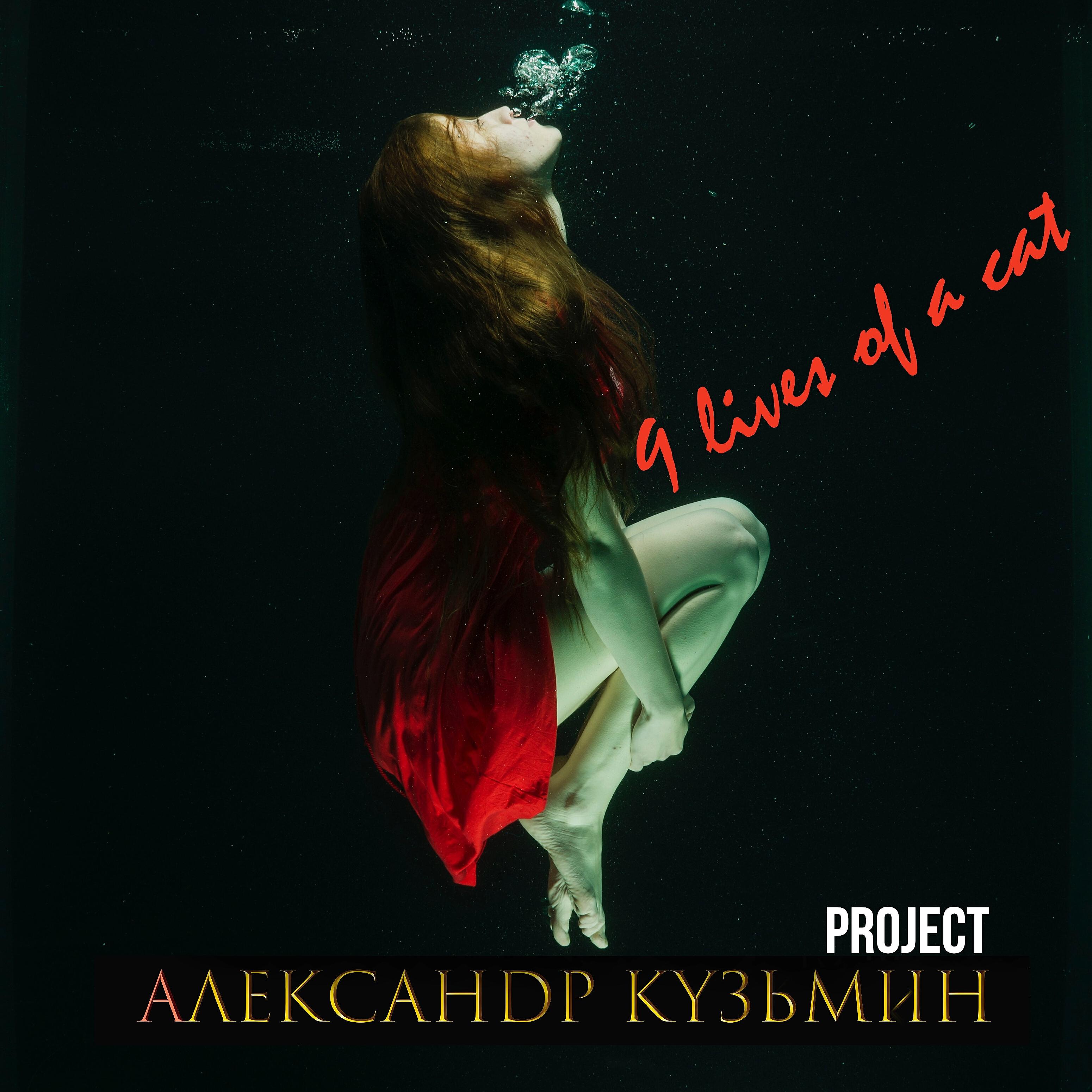 Релиз Nine Lives of a Cat