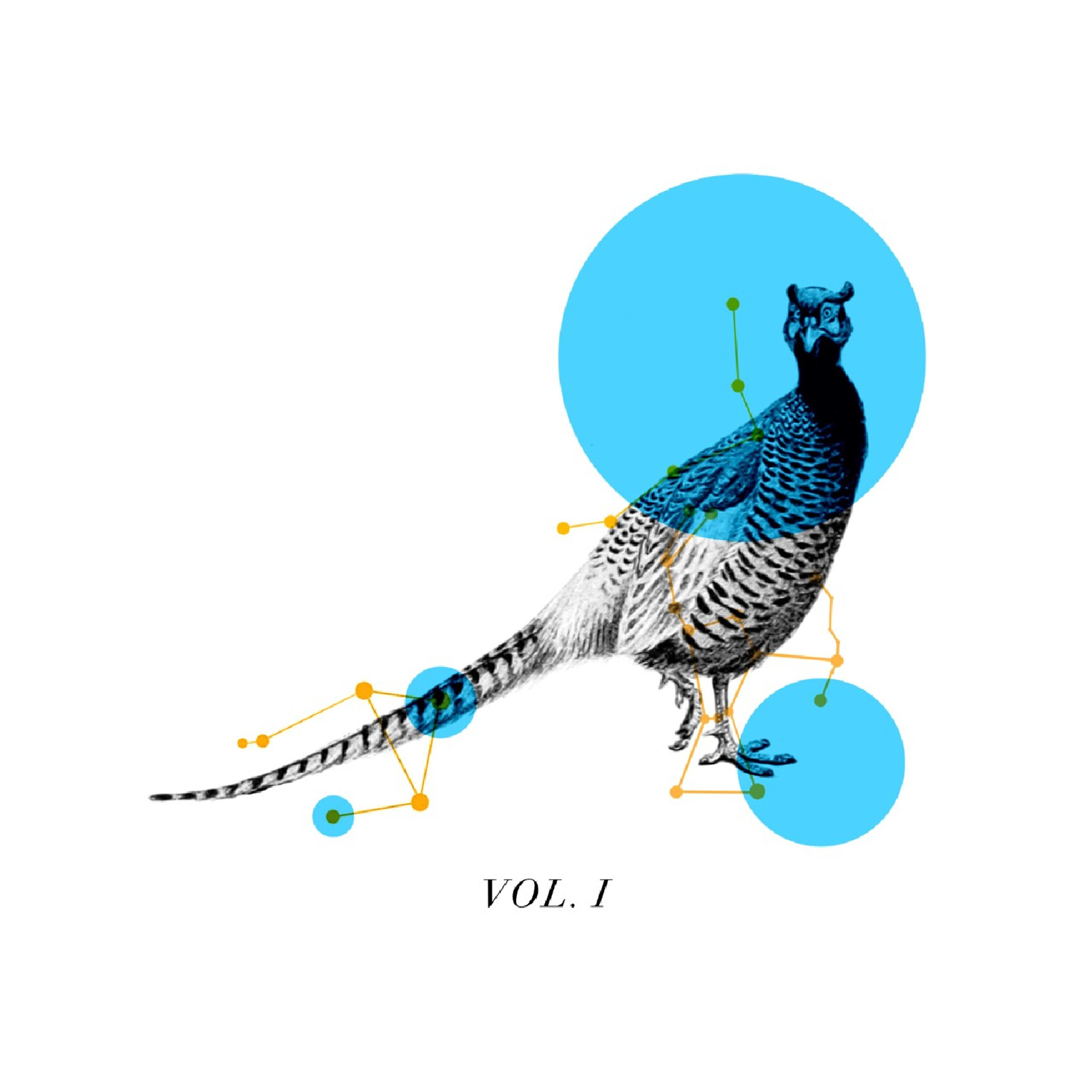Релиз Faisán, Vol. 1