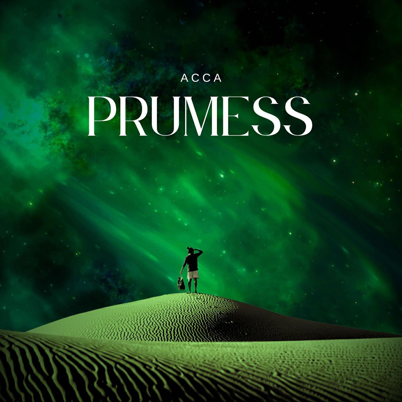 Релиз PRUMESS