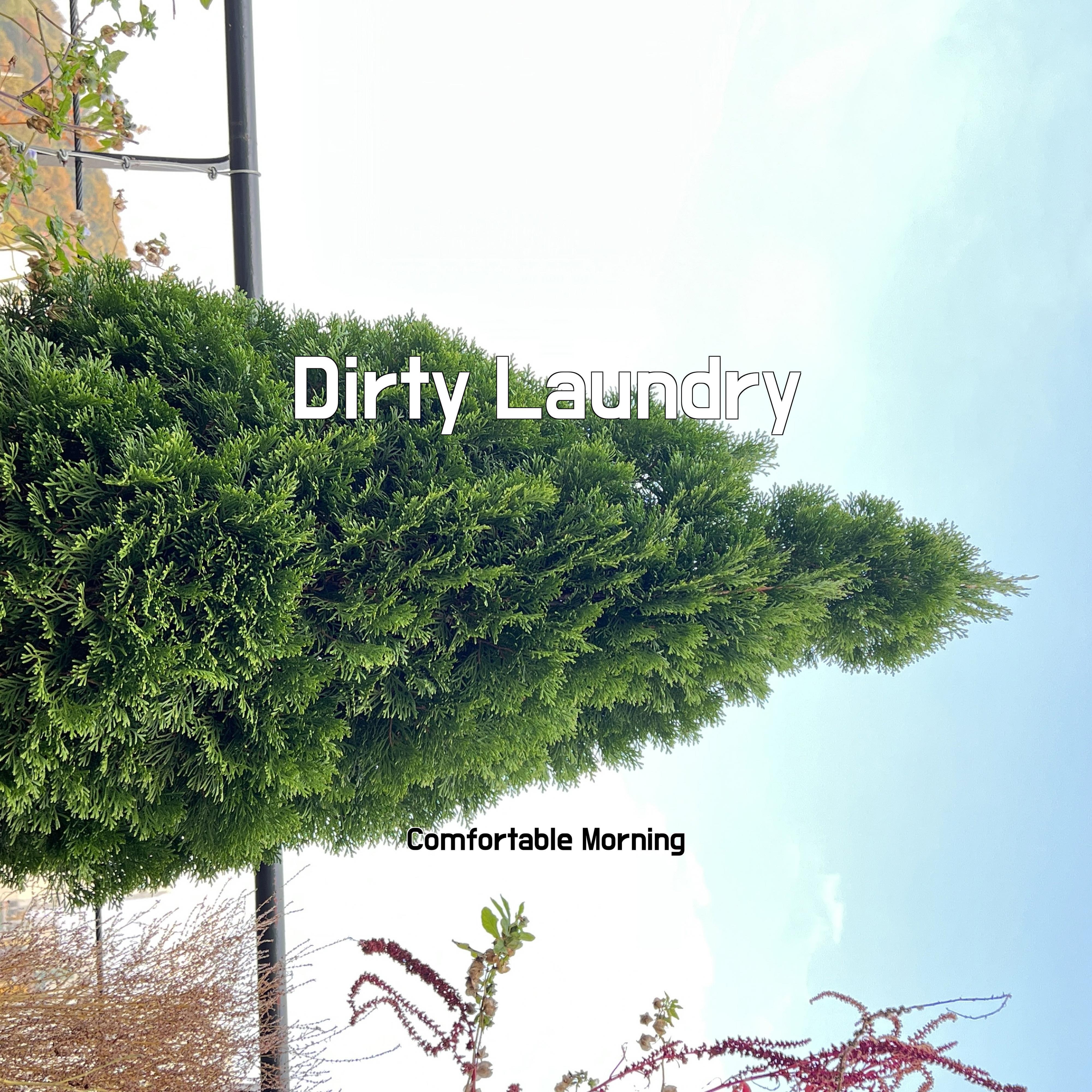 Постер альбома Dirty Laundry