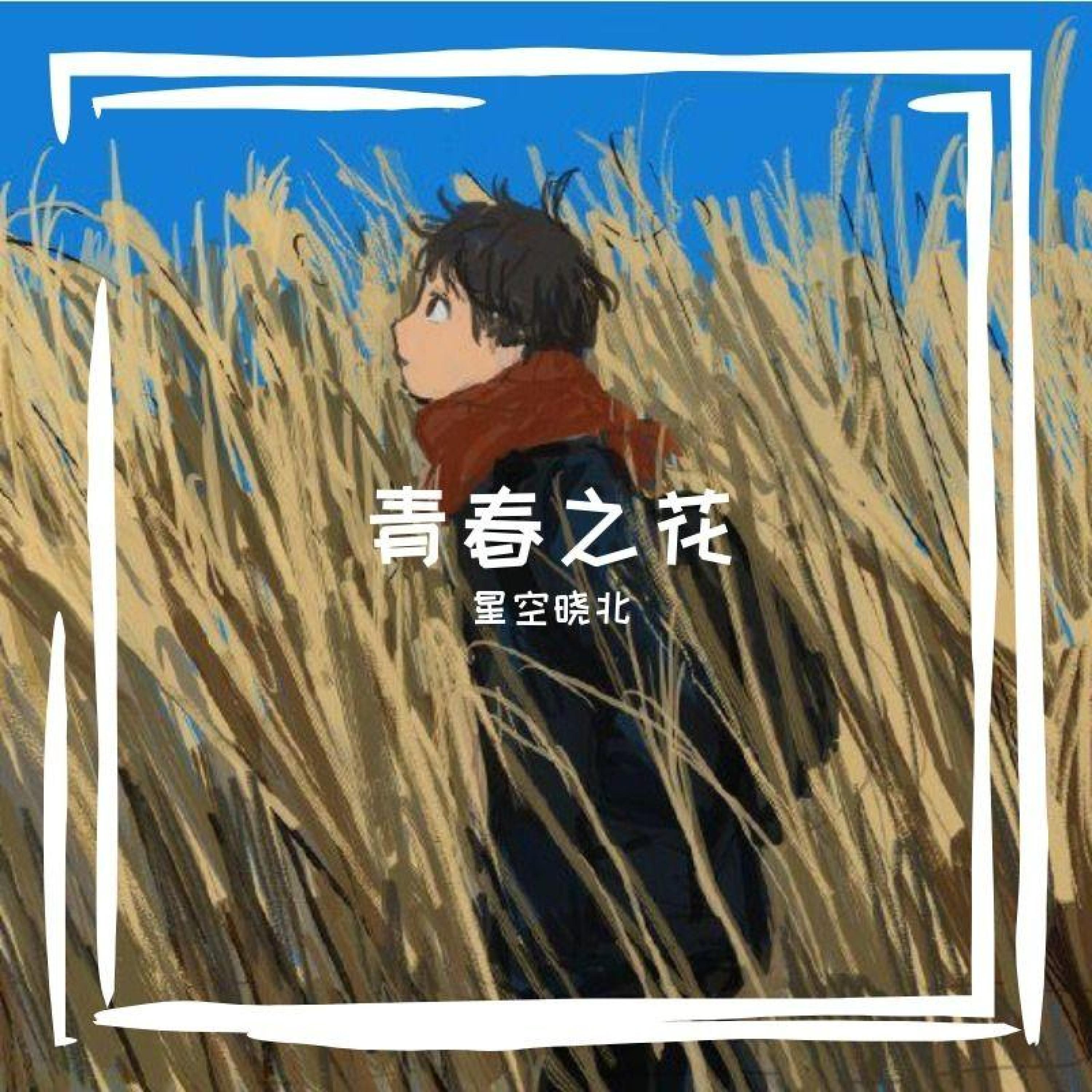 星空晓北