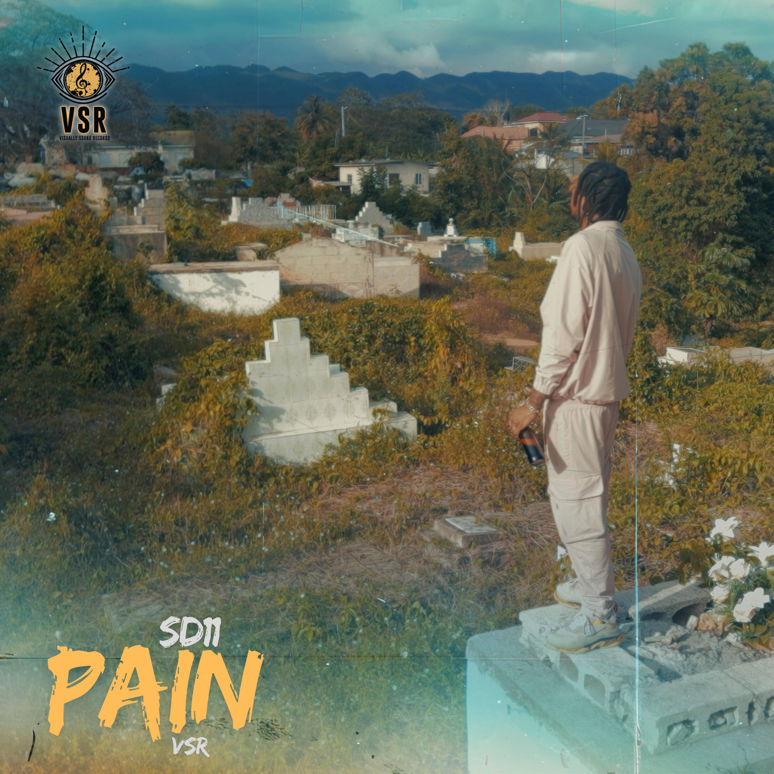 Релиз Pain