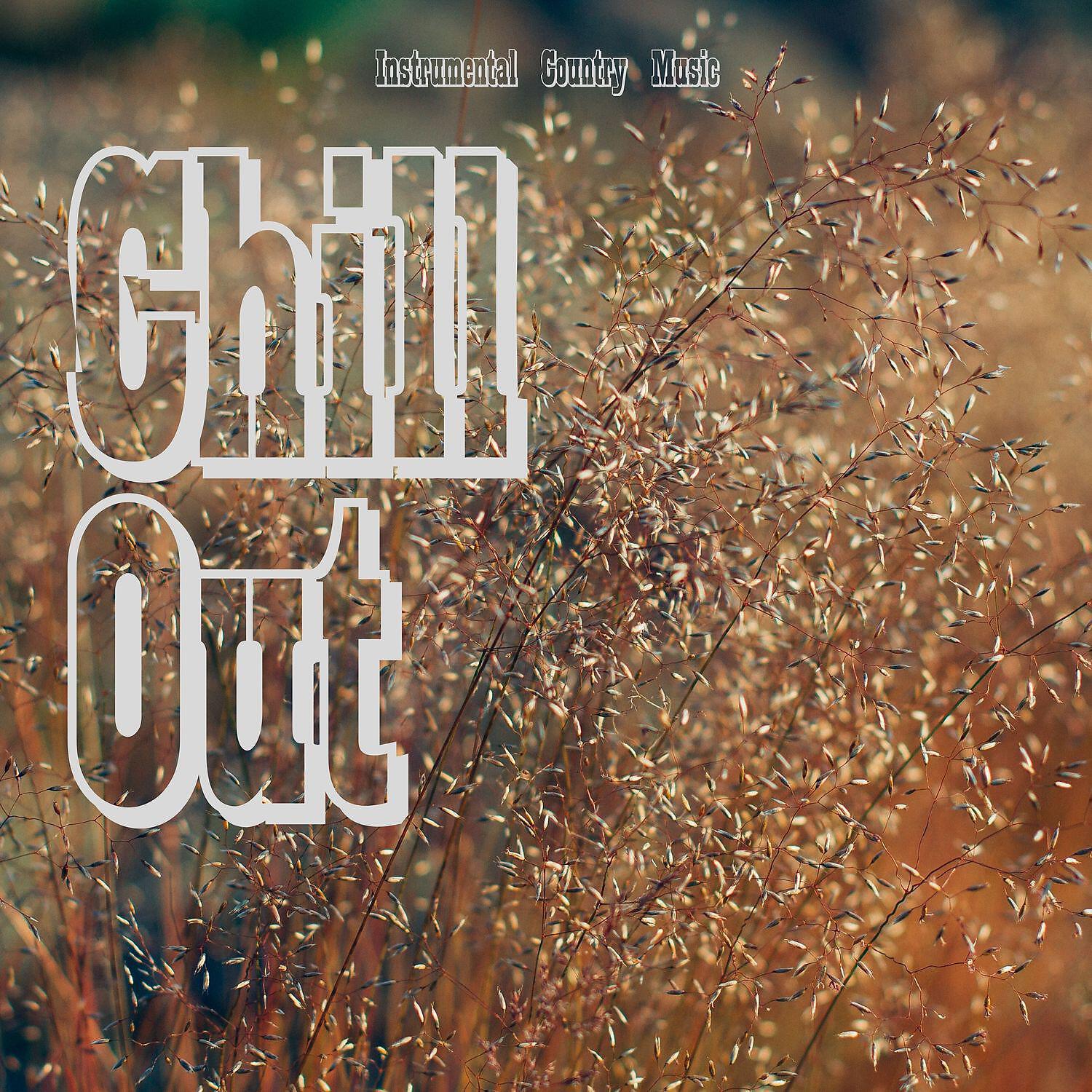 Релиз Instrumental Country Music - Chill Out