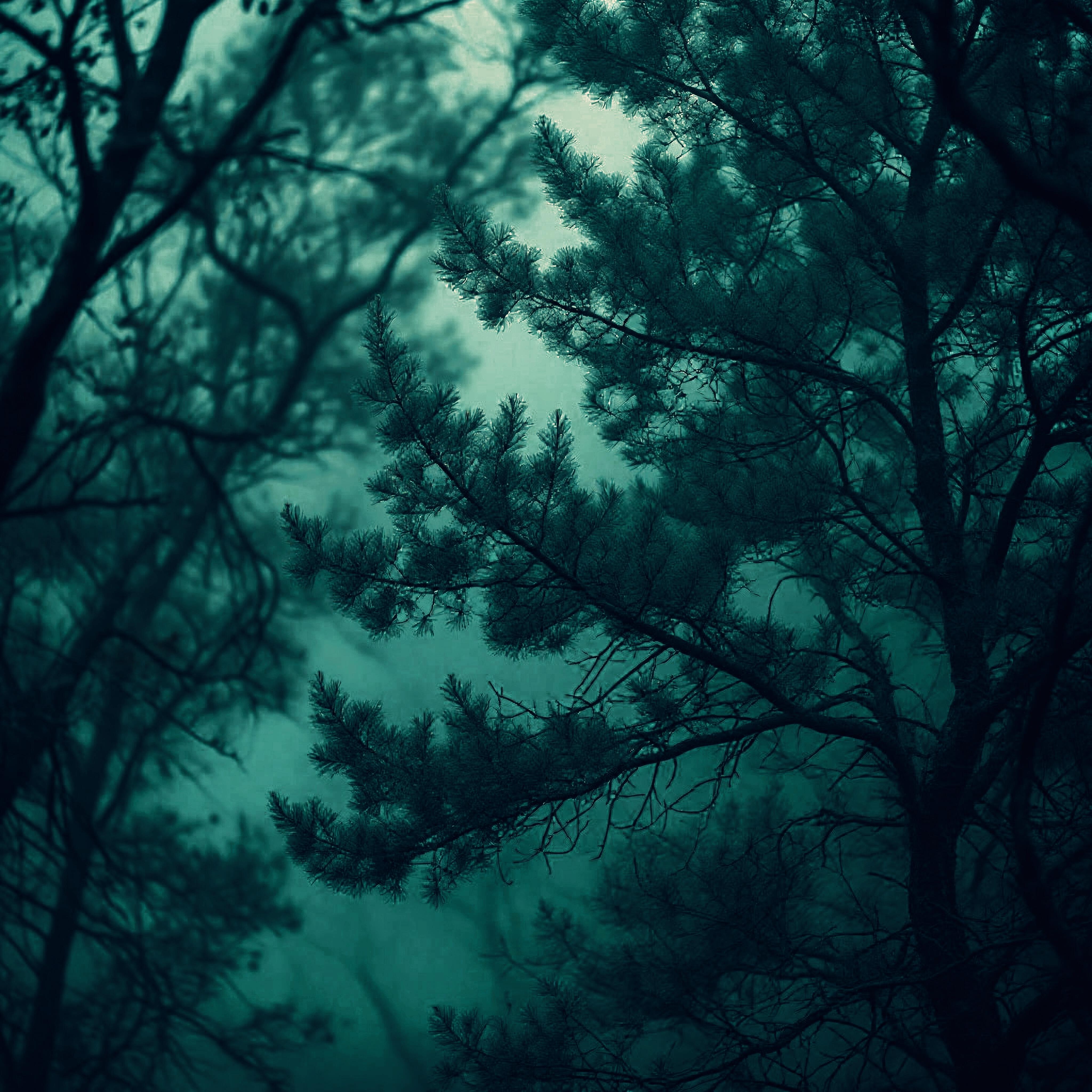 DØβRØ