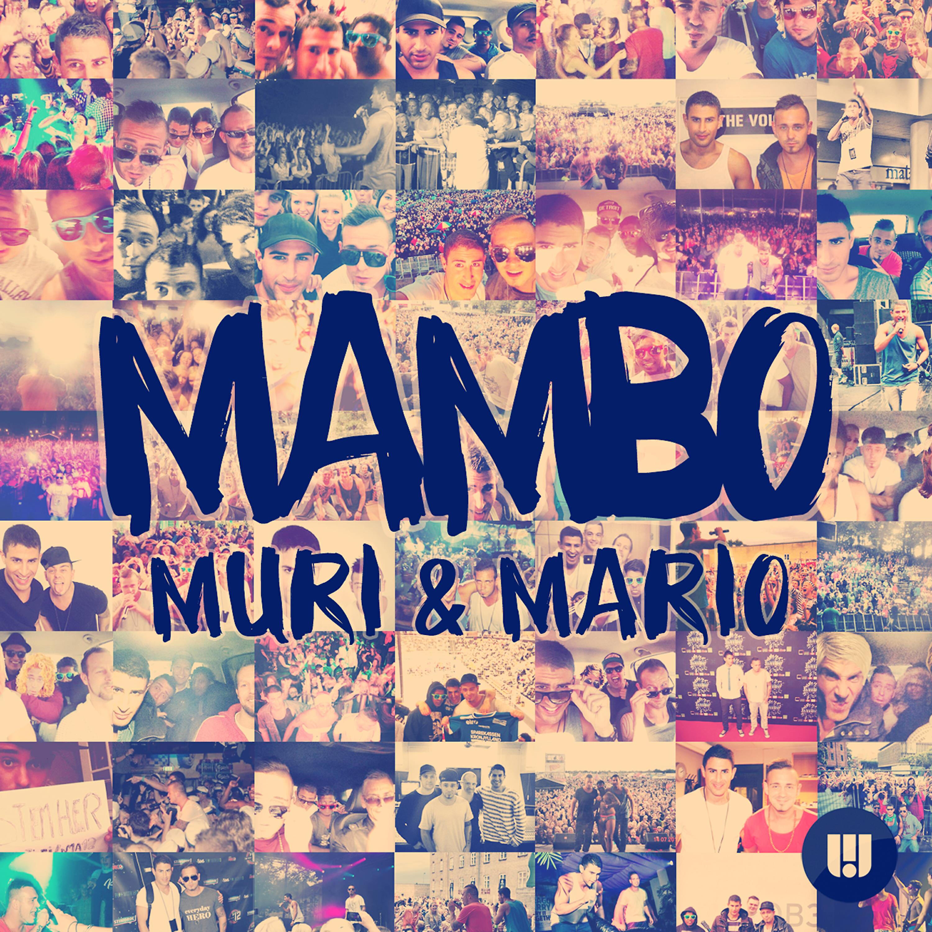 Релиз Mambo