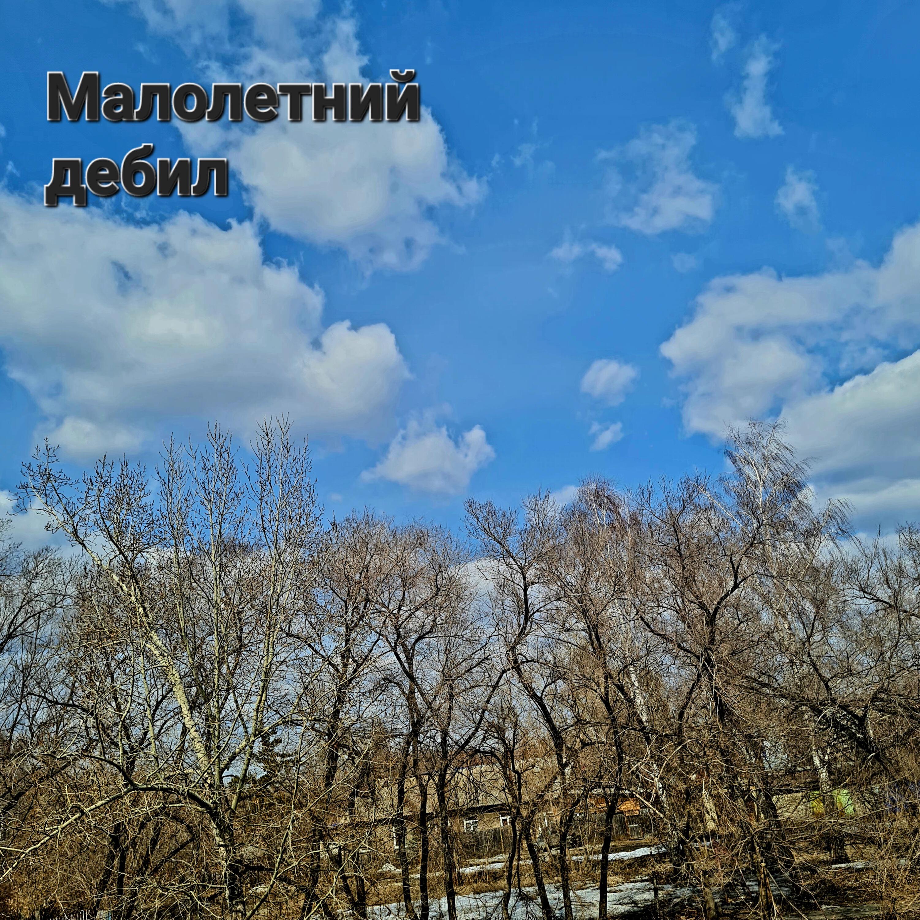Релиз Малолетний дебил