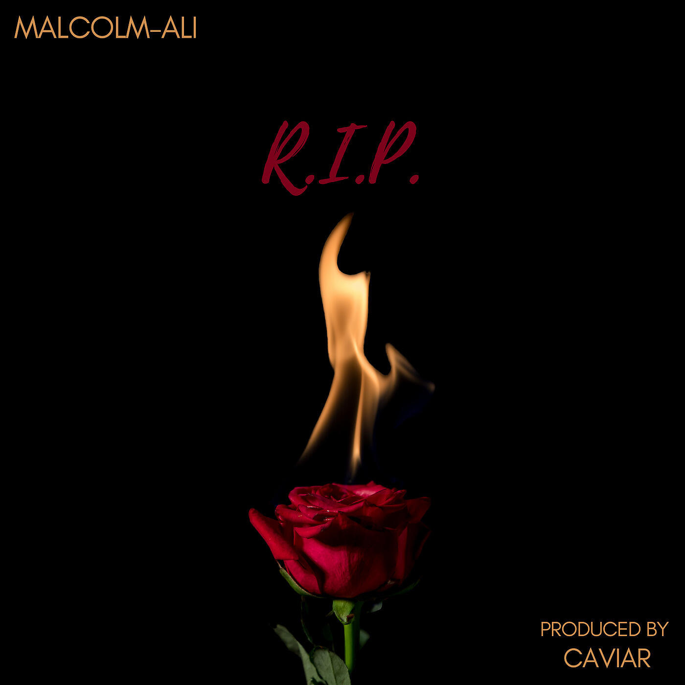 Релиз R.I.P