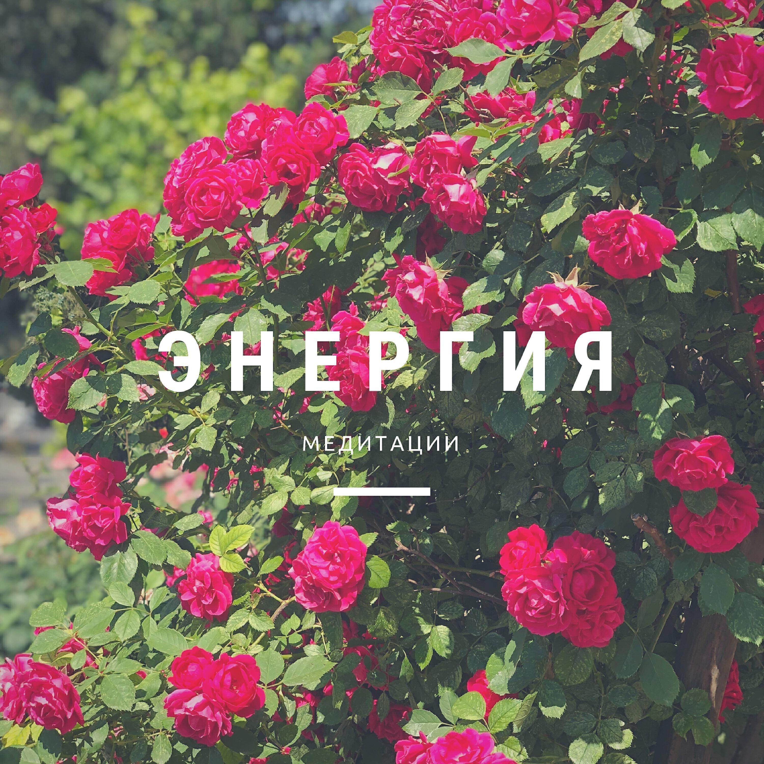 Энергия медитации
