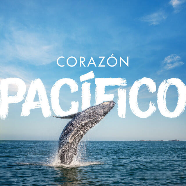 Релиз Corazón Pacífico