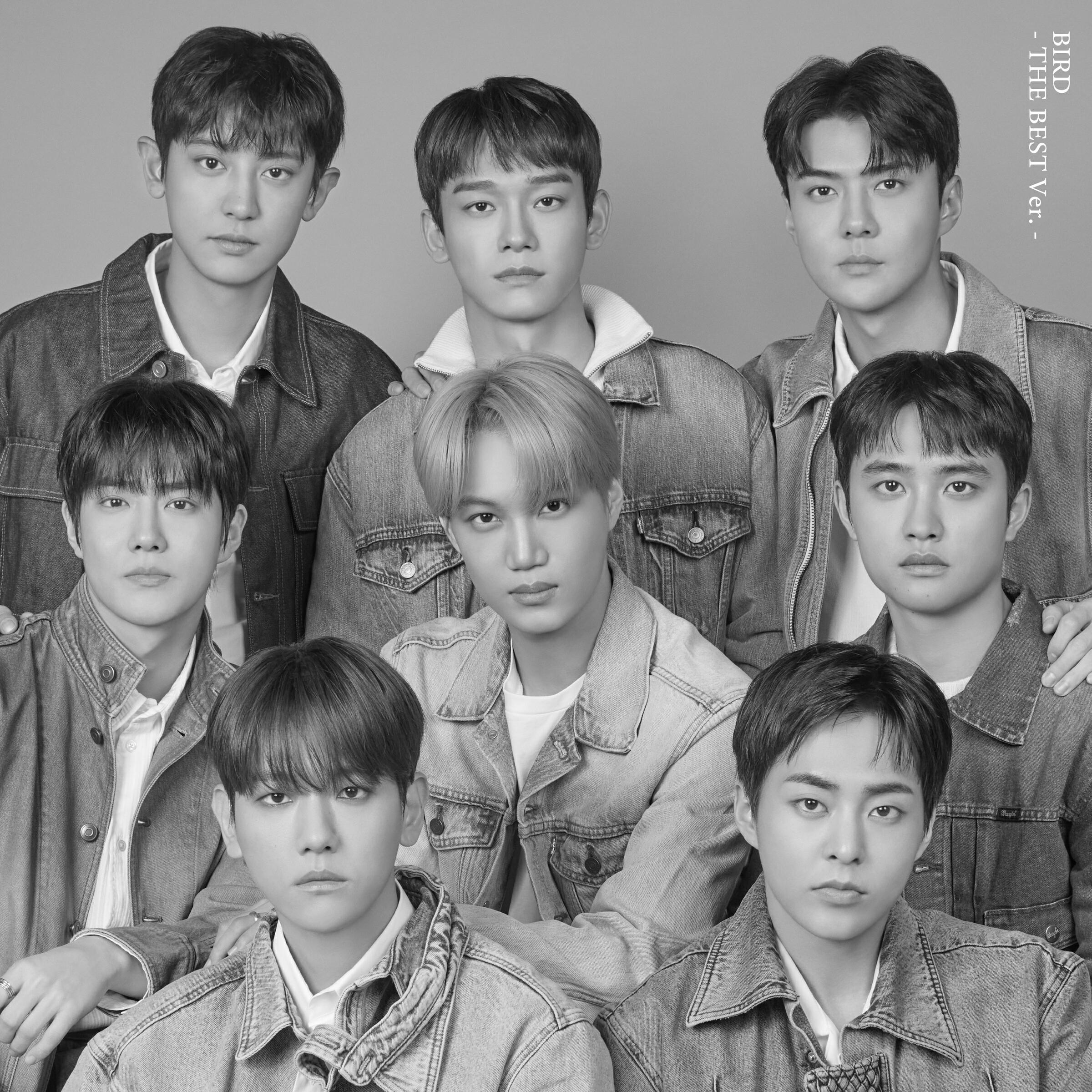 Релиз BIRD (THE BEST Ver.)