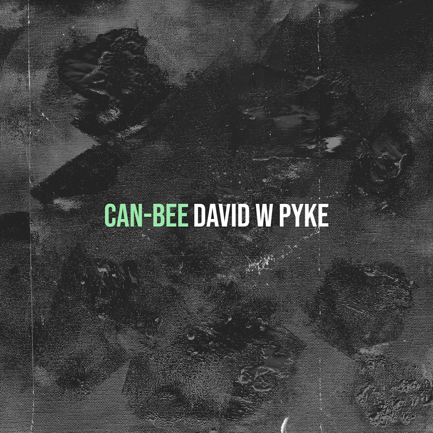 David W Pyke