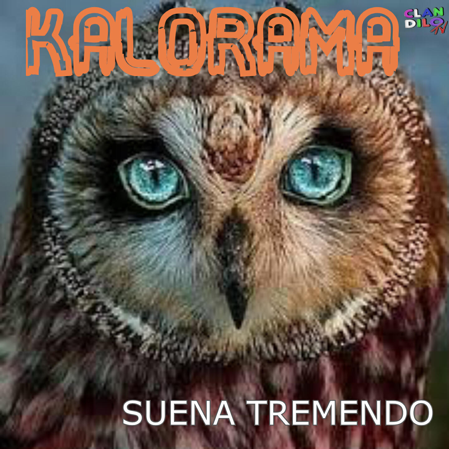 Kalorama