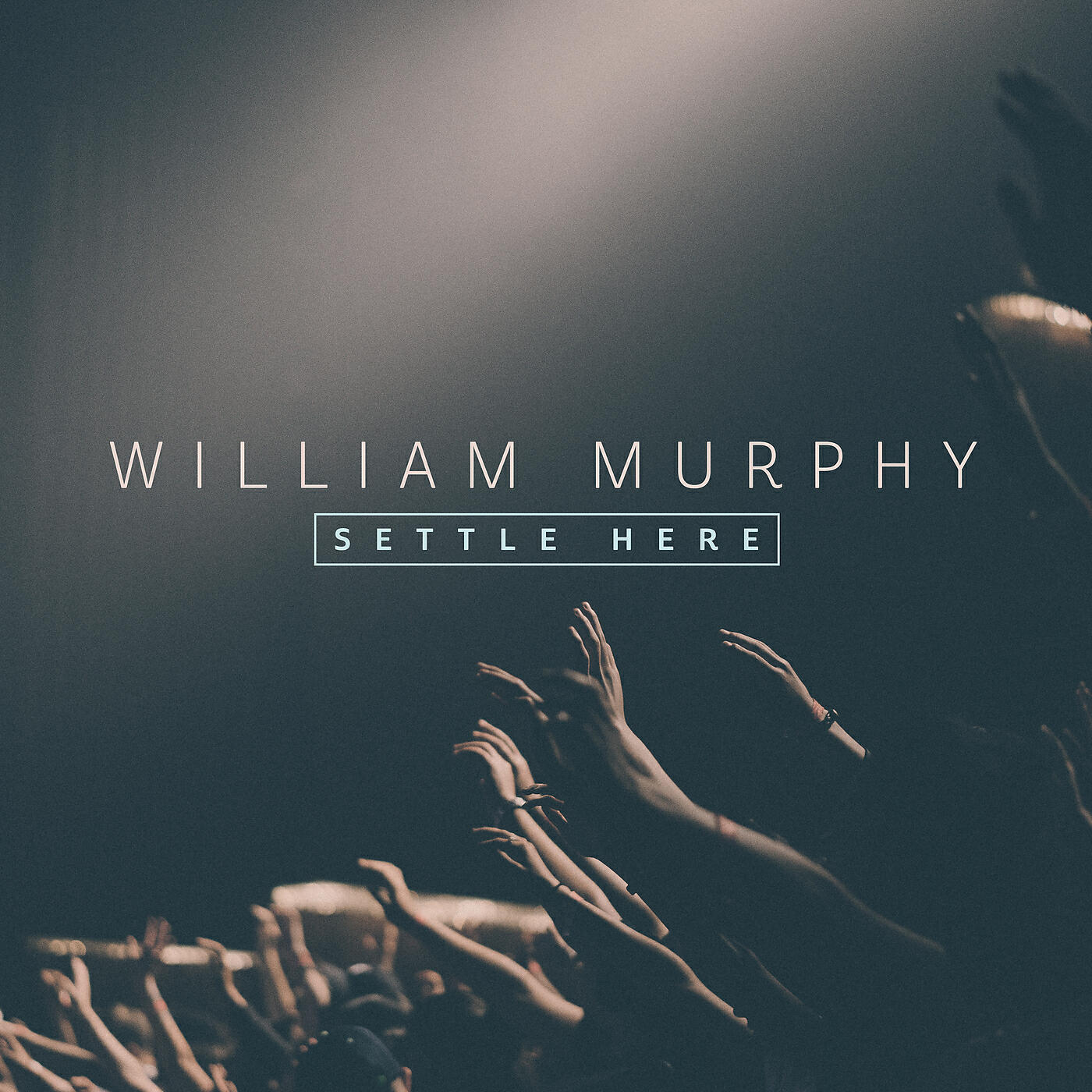 Релиз Settle Here Part 1