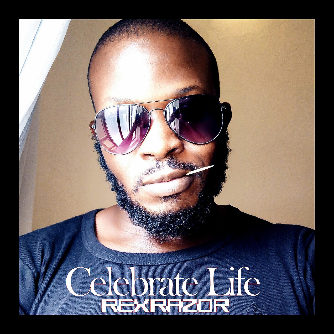Релиз Celebrate Life