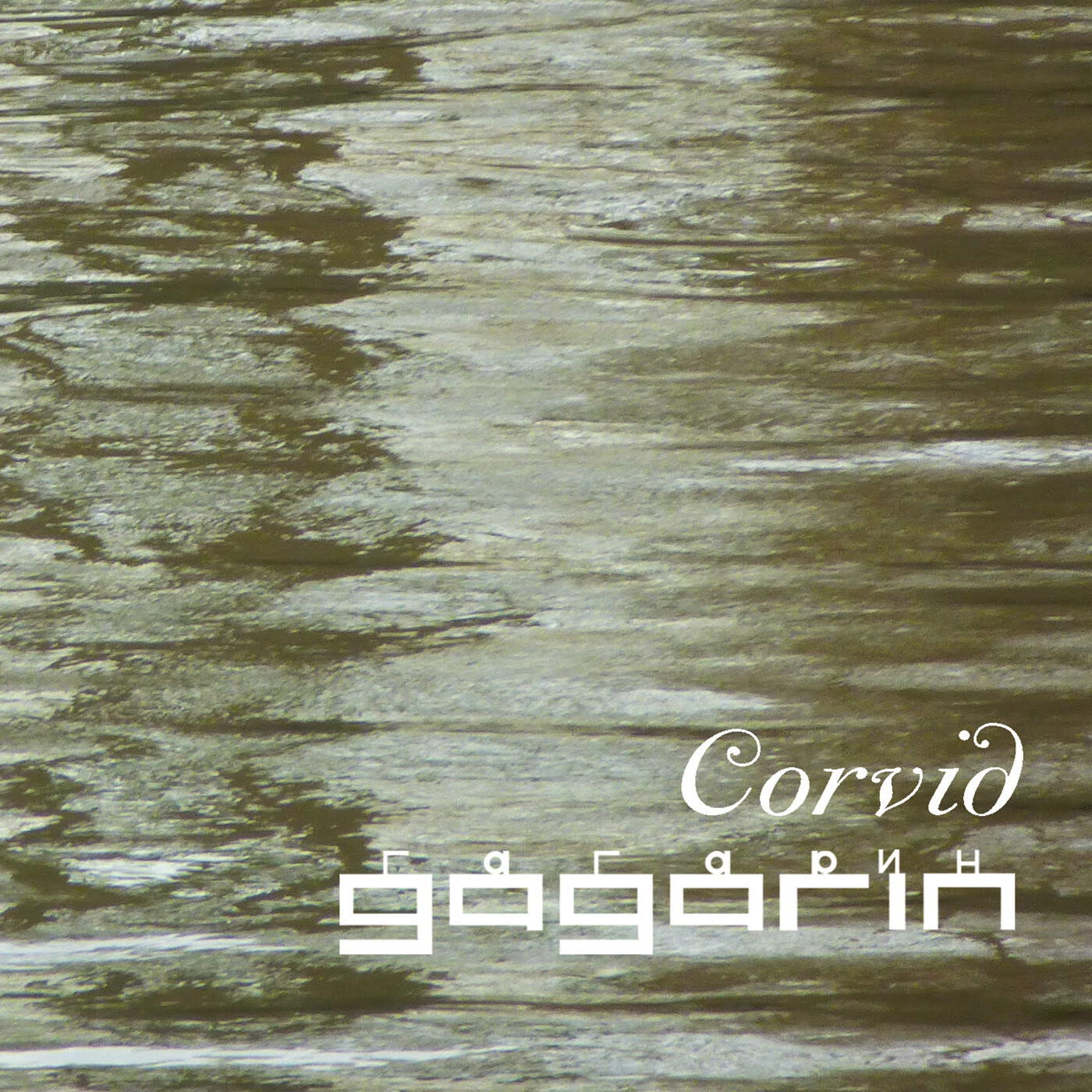 Релиз Corvid