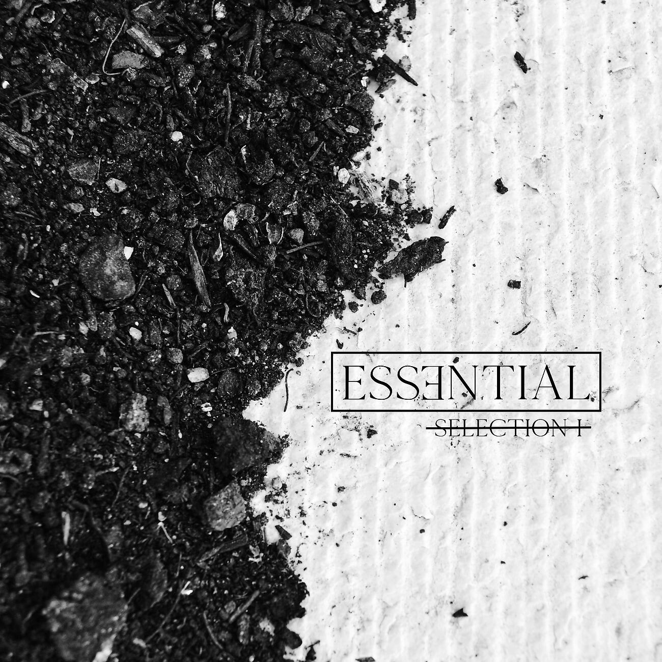 Релиз ESSENTIAL selection I