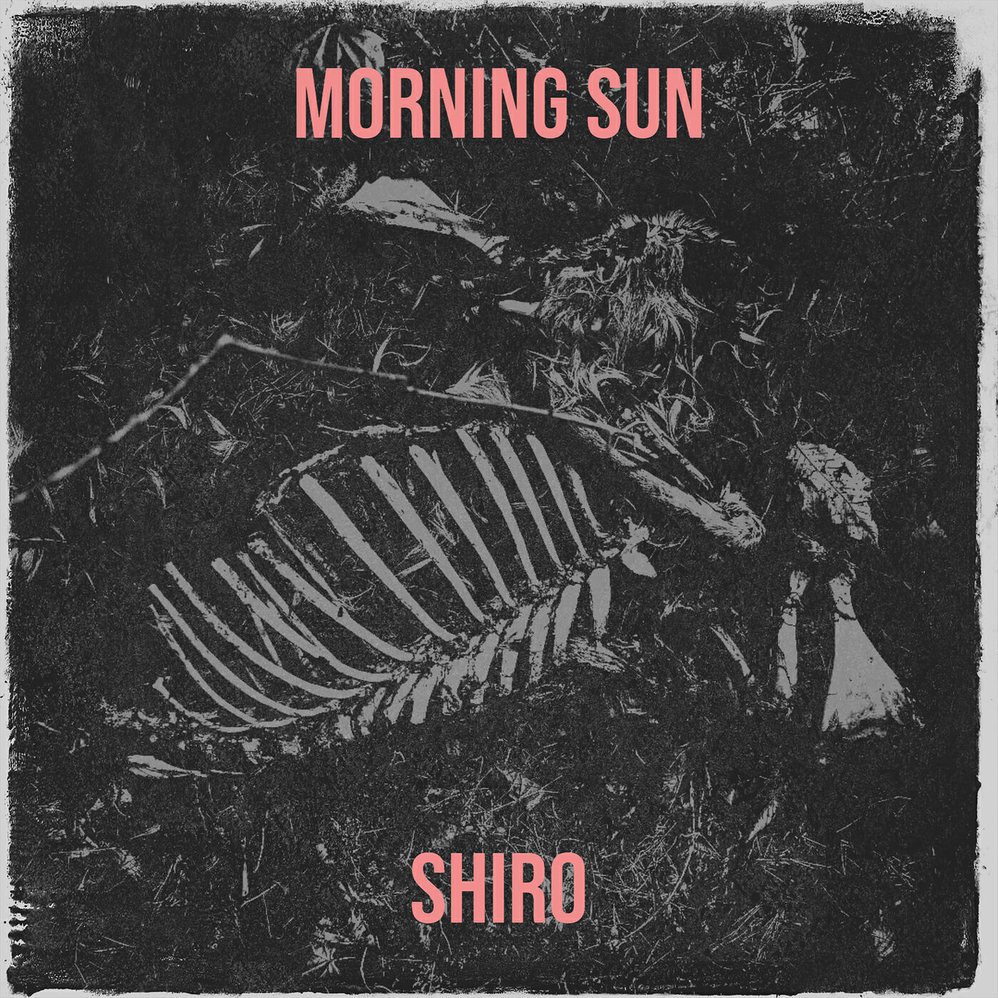 Релиз Morning Sun