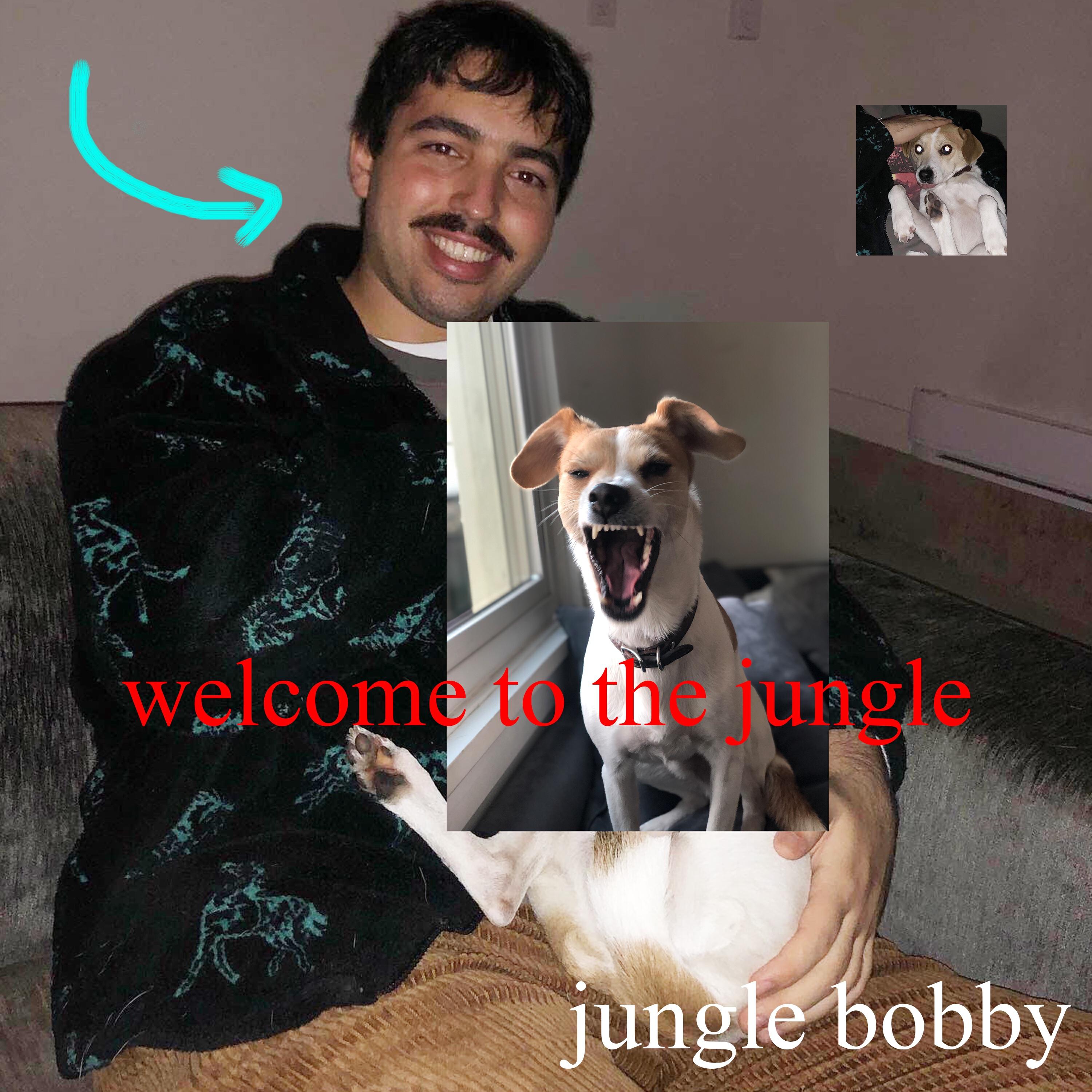 Релиз welcome to the jungle