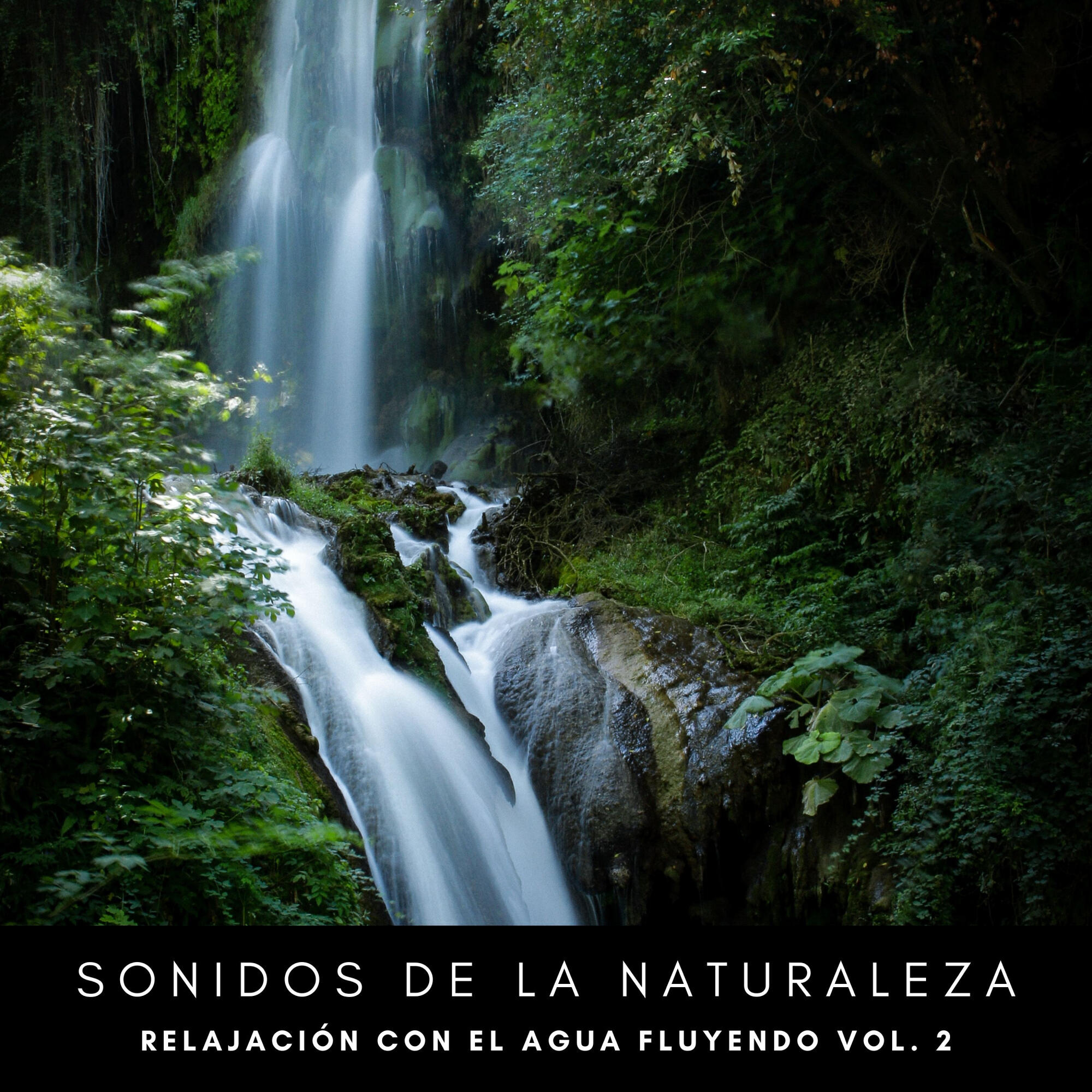 Релиз Sonidos De La Naturaleza: Relajación Con El Agua Fluyendo Vol. 2