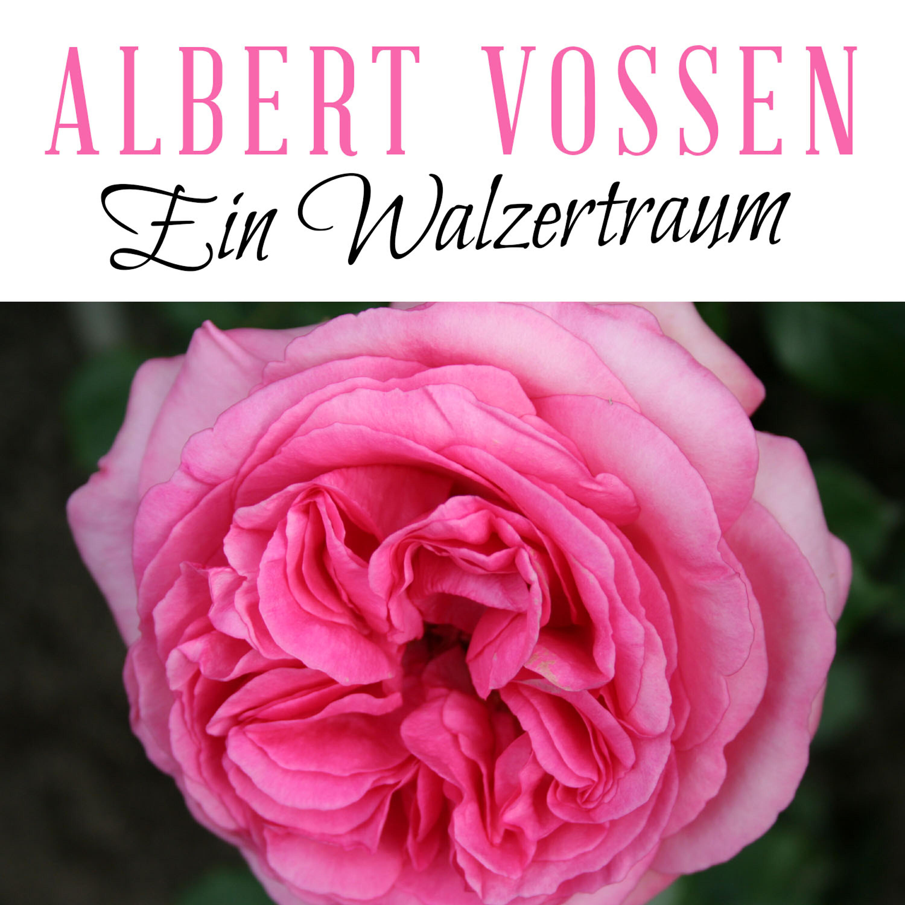 Релиз Ein Walzertraum