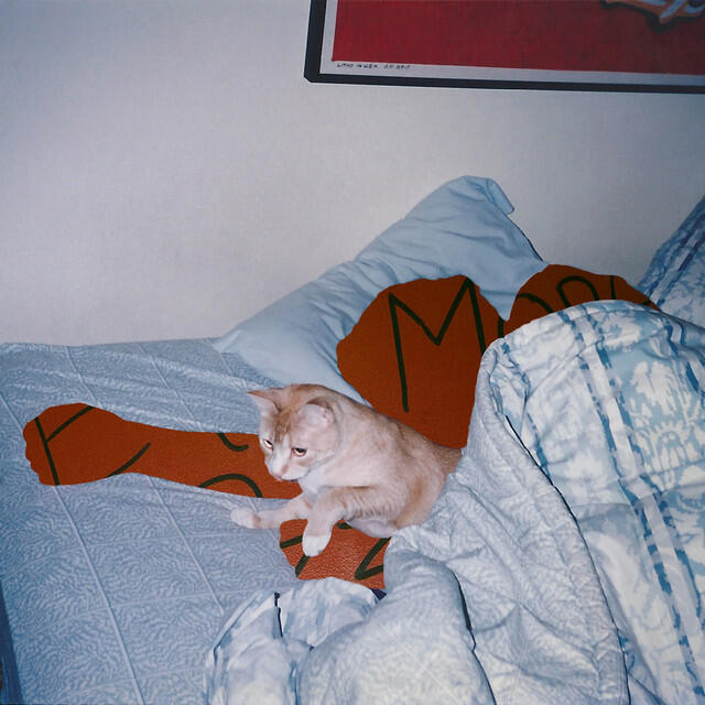 Релиз Closed Doors