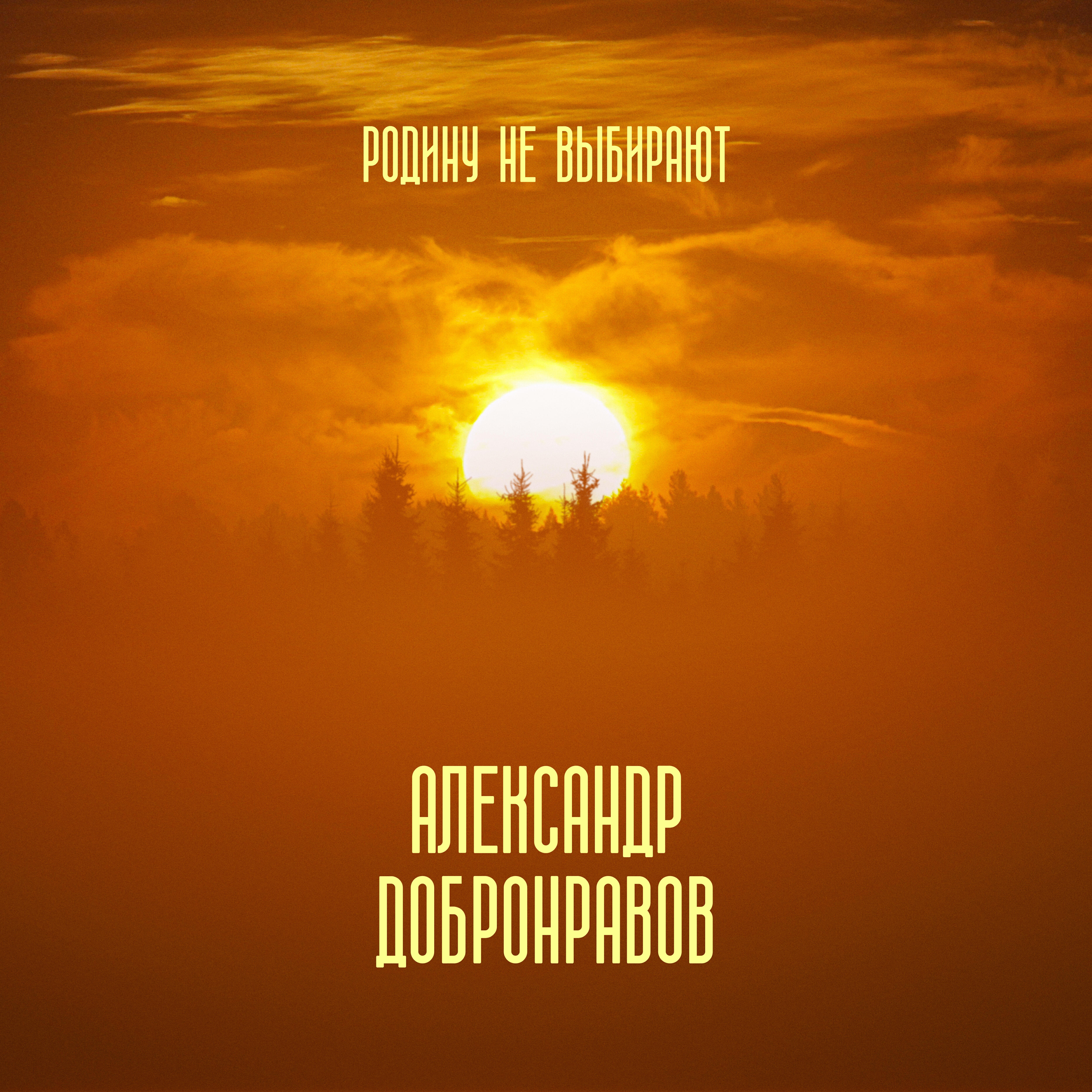 Постер альбома Родину не выбирают