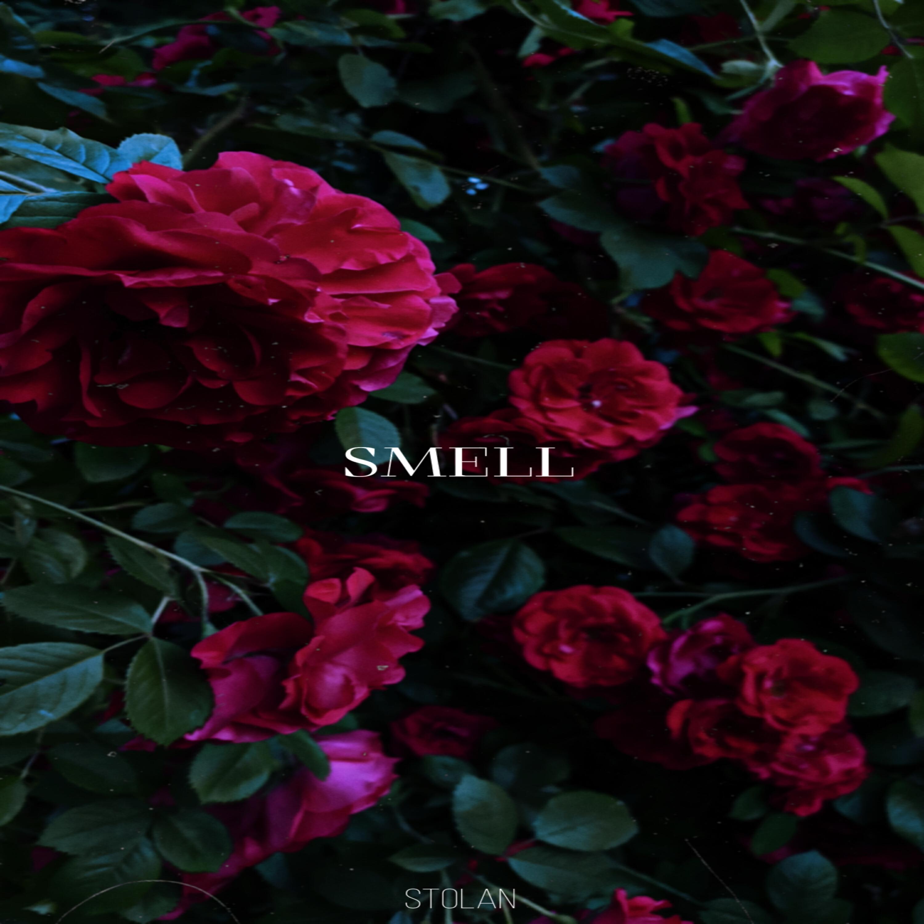 Релиз SMELL