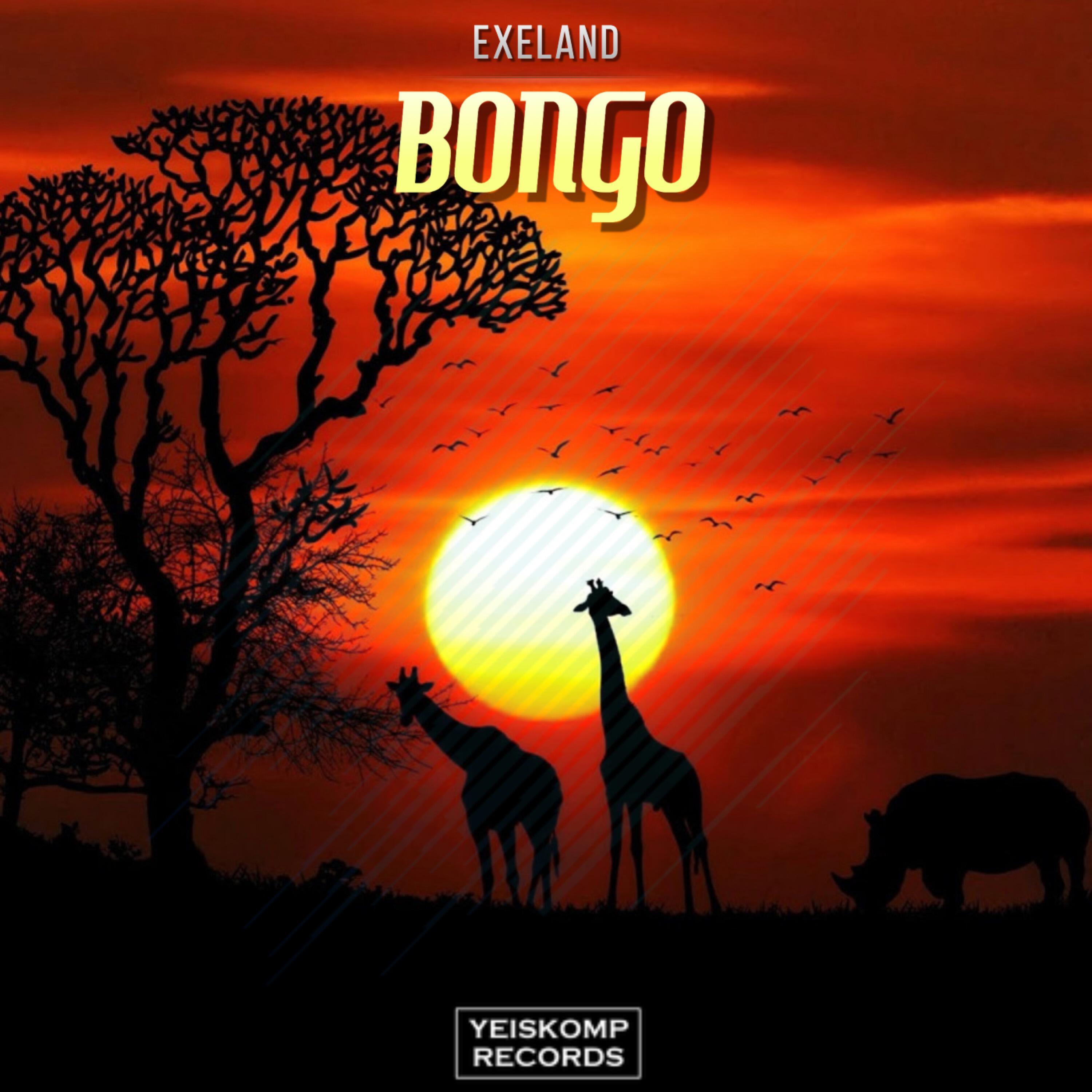 Релиз Bongo