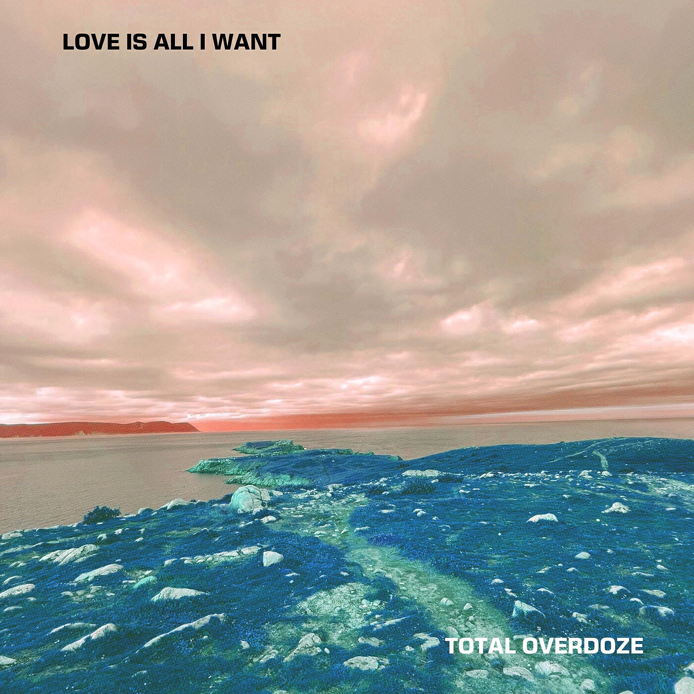 Релиз All I Want Is Love