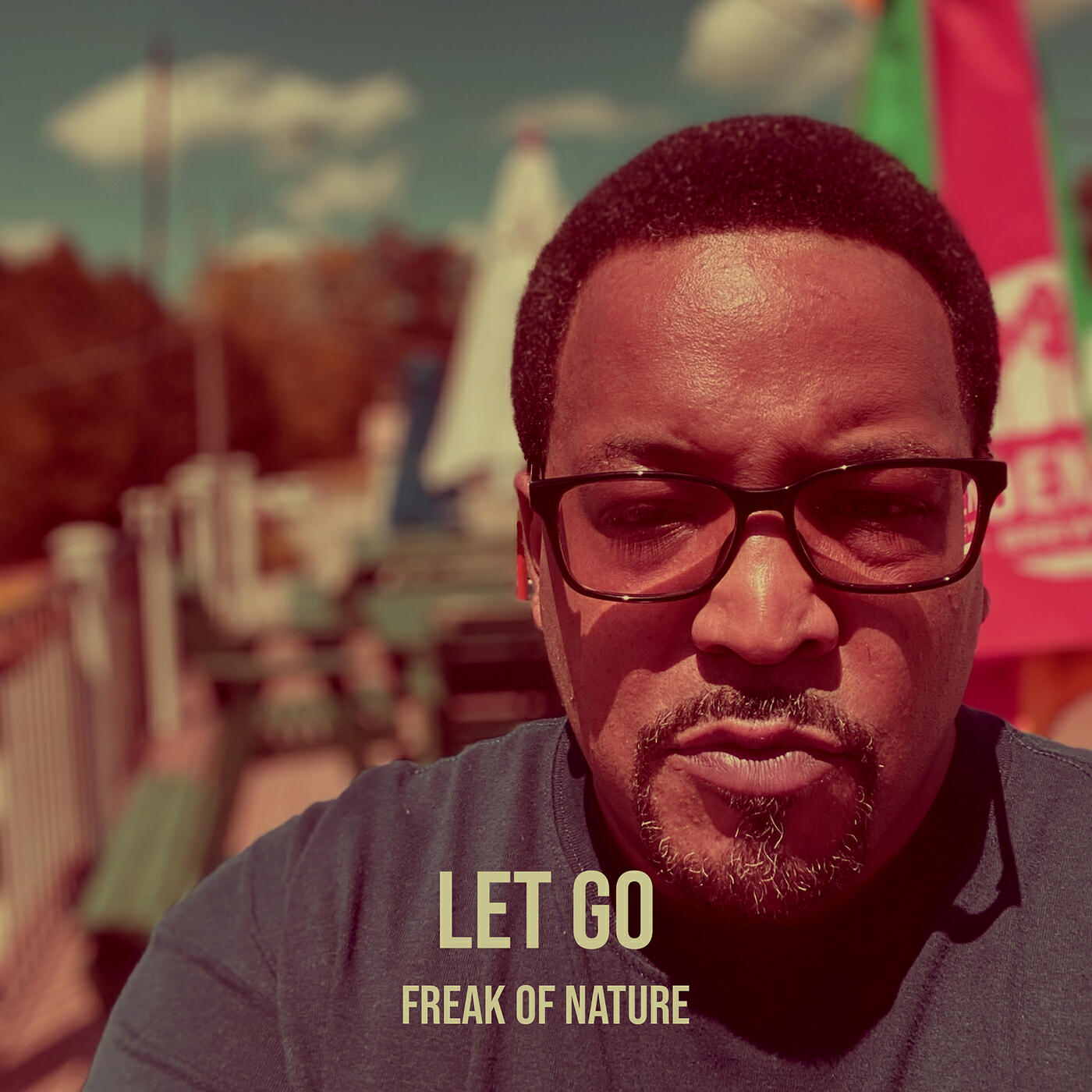 Релиз Let Go