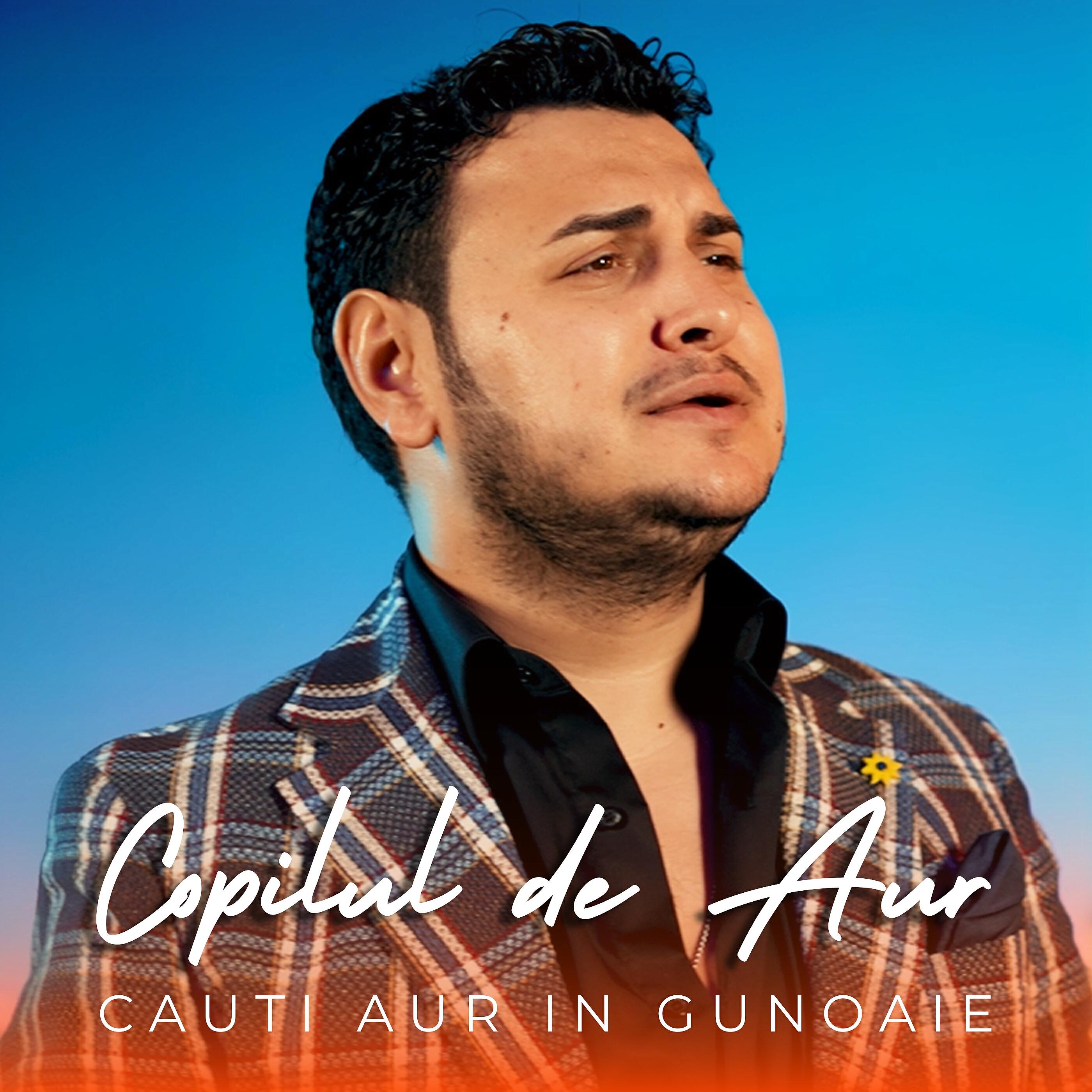 Постер альбома Cauti aur in gunoaie