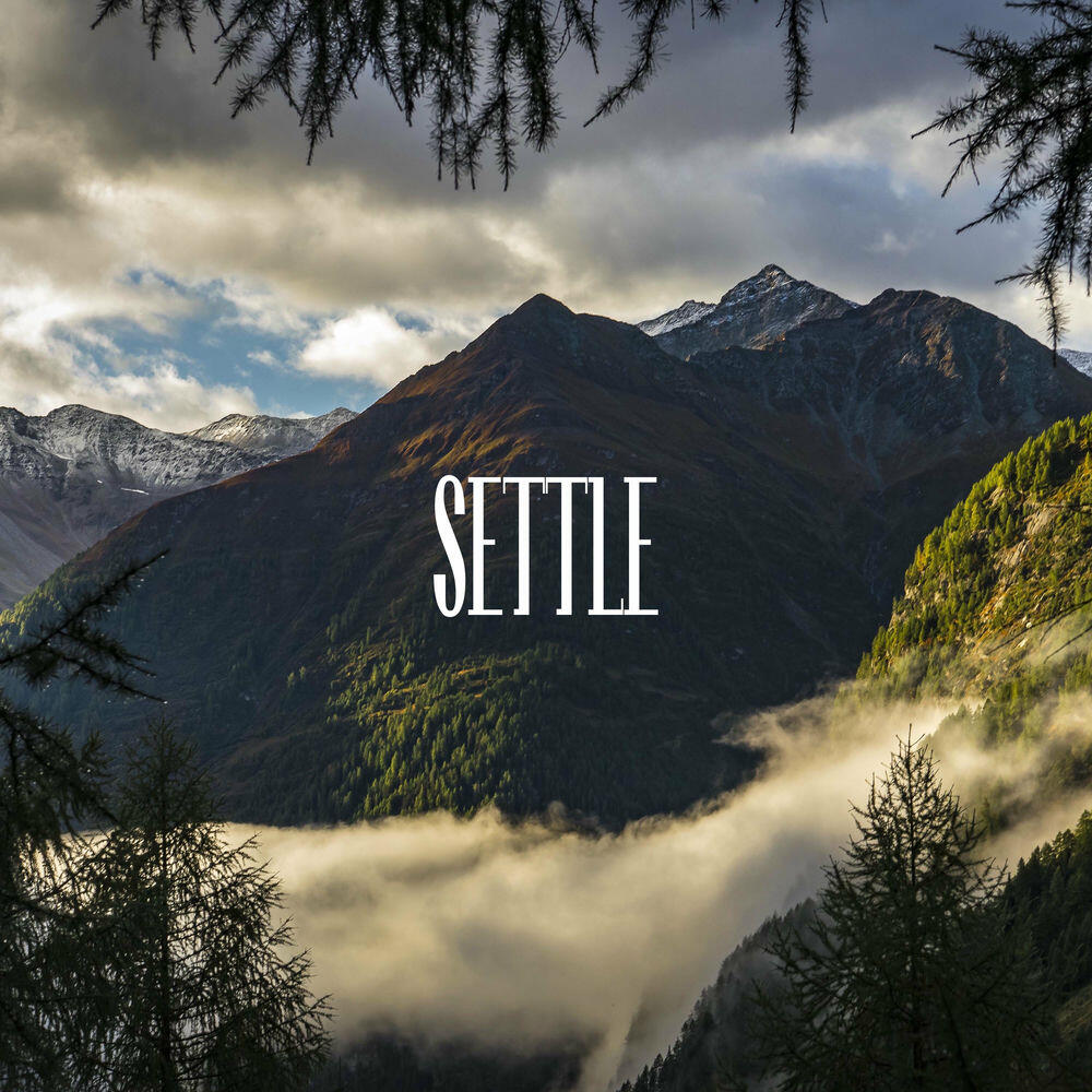 Релиз Settle