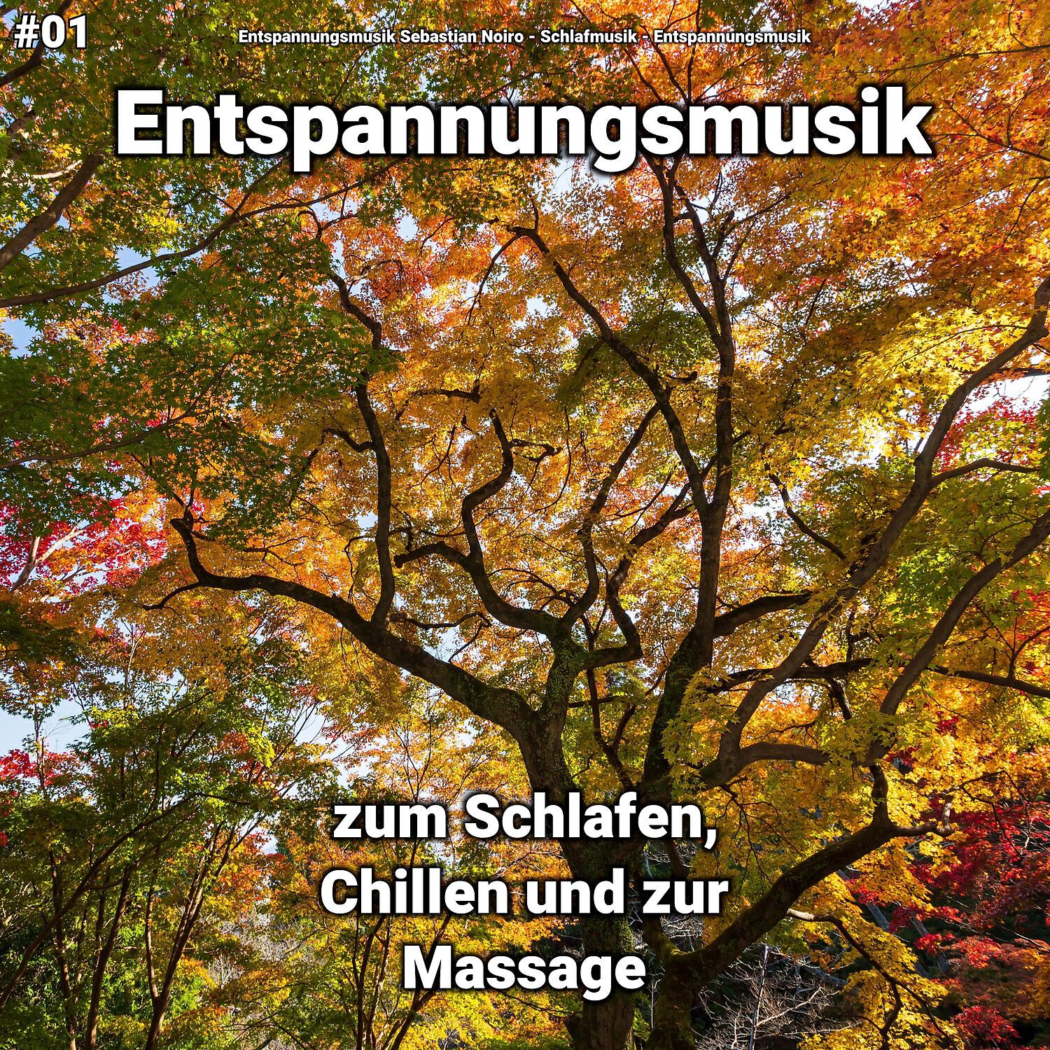 Релиз #01 Entspannungsmusik zum Schlafen, Chillen und zur Massage
