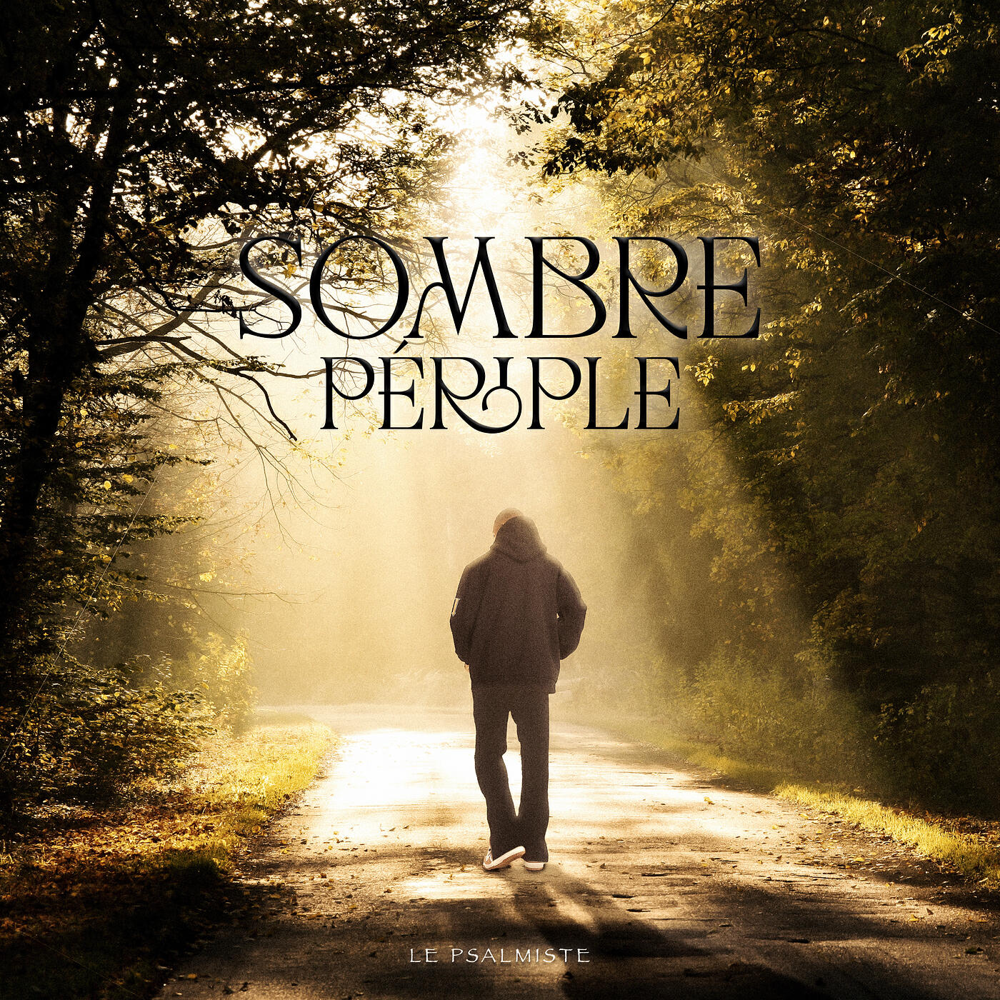 Скачать песню Le Psalmiste - Sombre périple бесплатно в MP3 для Android и iOS