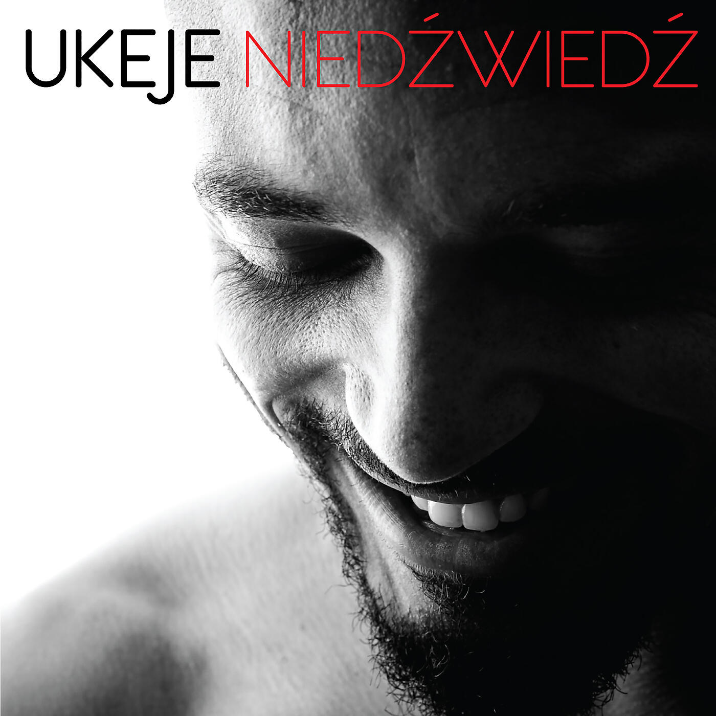 Релиз Niedzwiedz
