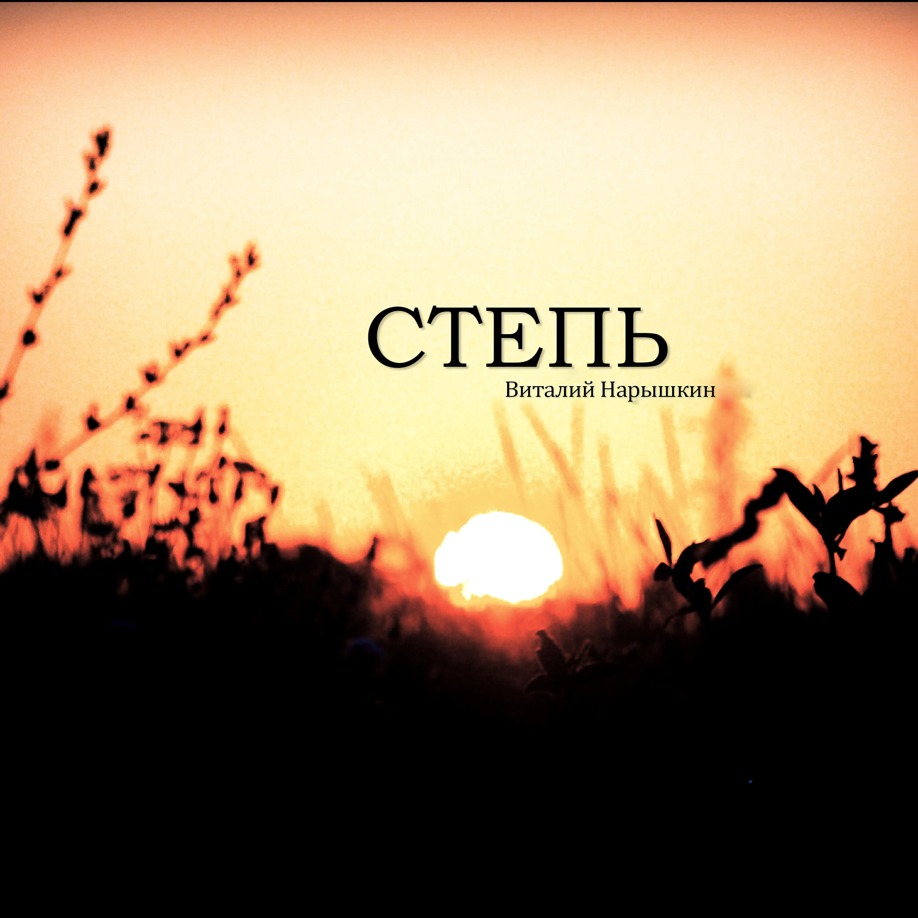 Релиз Степь