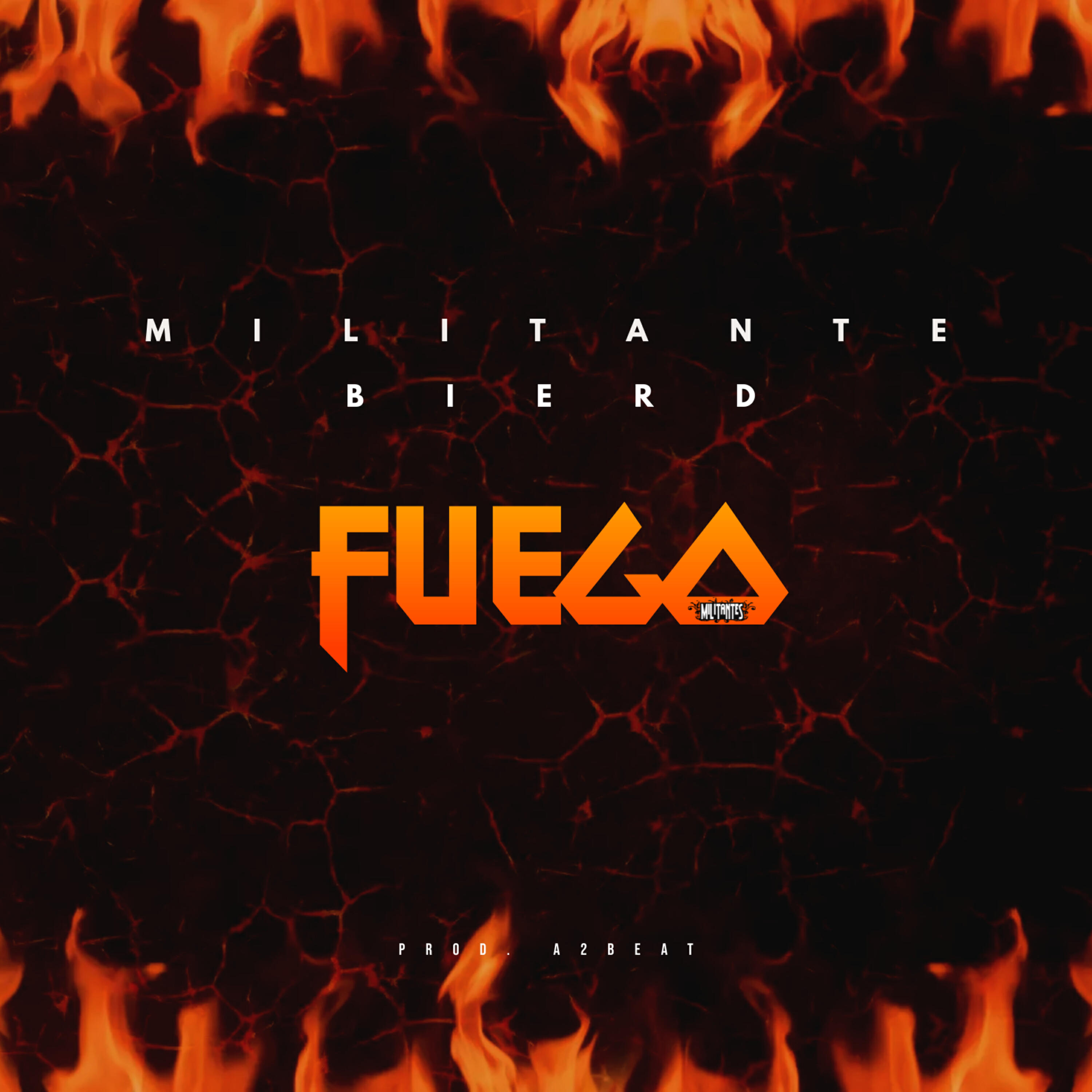 Релиз Fuego