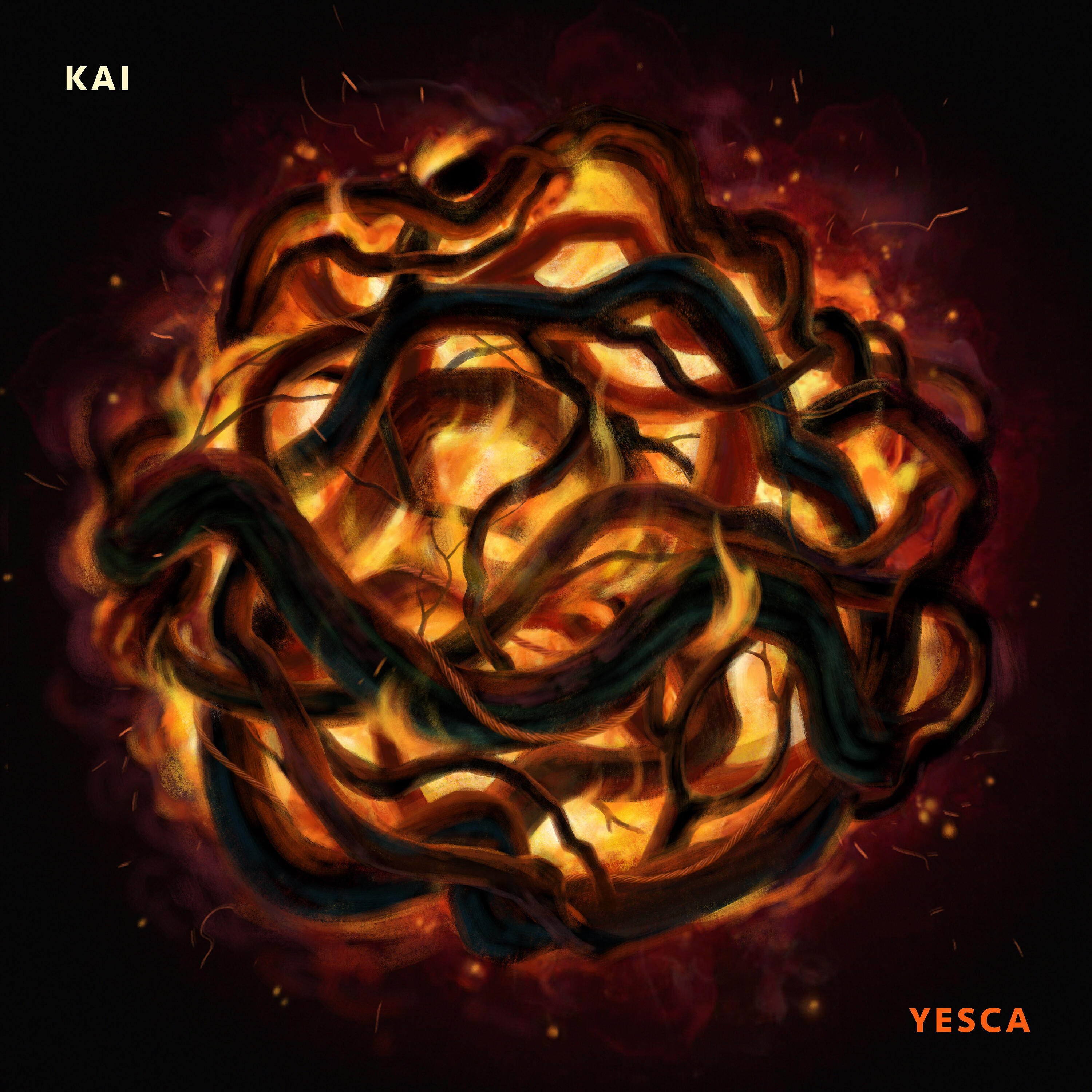 Kai d' Raíz