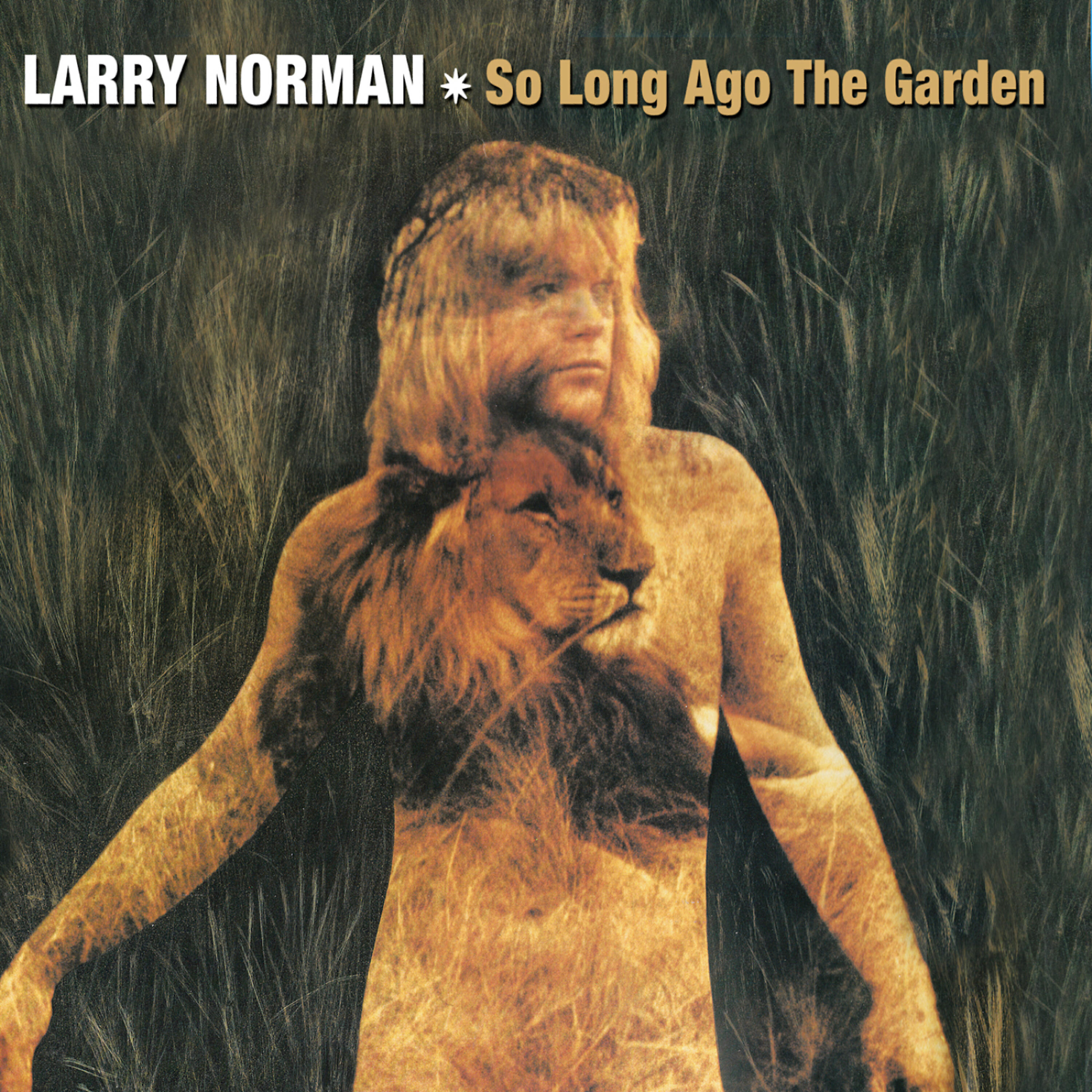 Релиз So Long Ago The Garden
