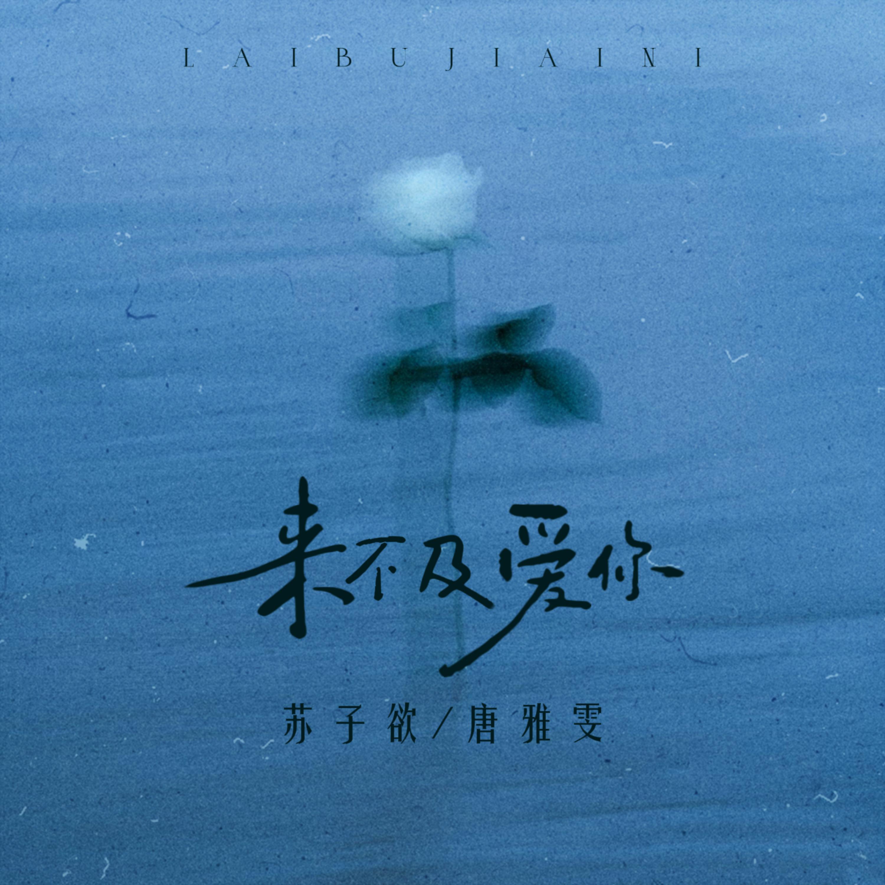 唐雅雯
