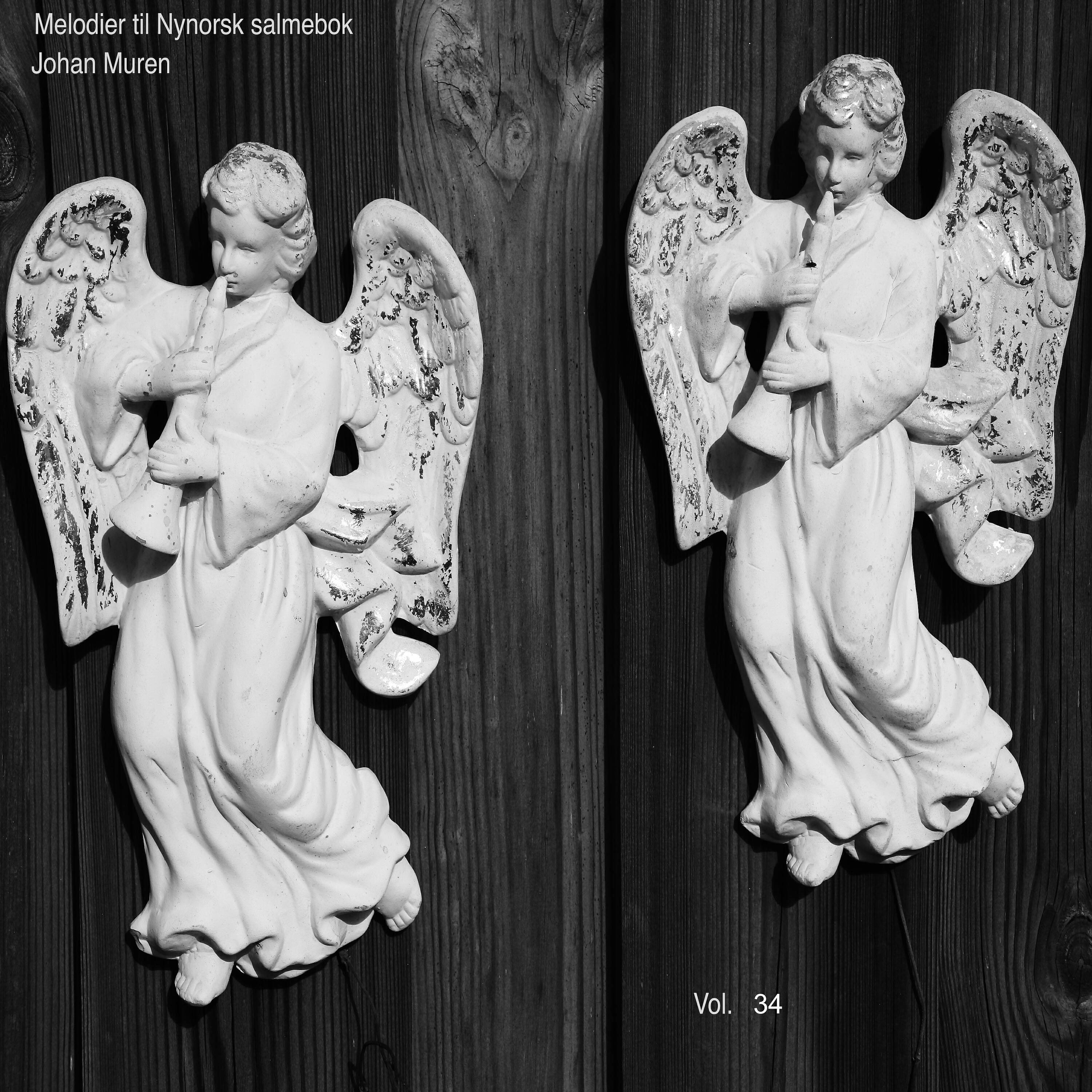 Релиз Musikken til Nynorsk Salmebok Vol. 34