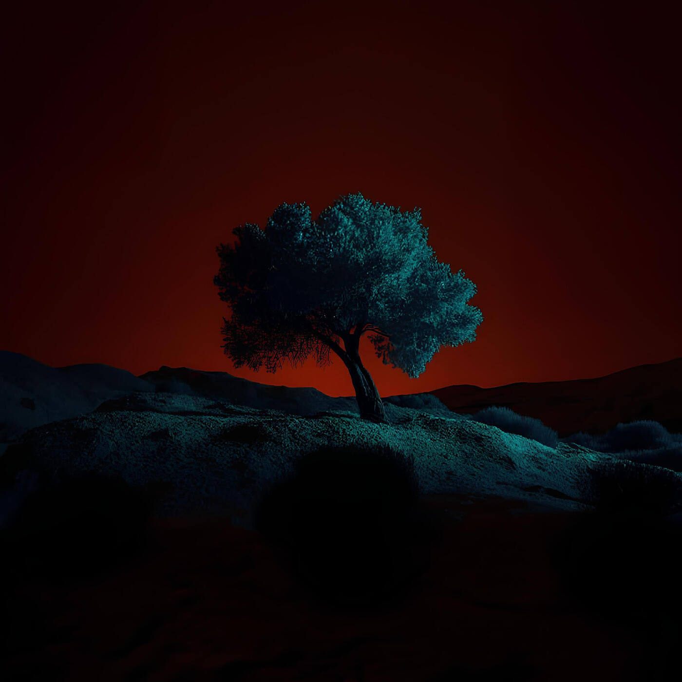 Релиз All I Need