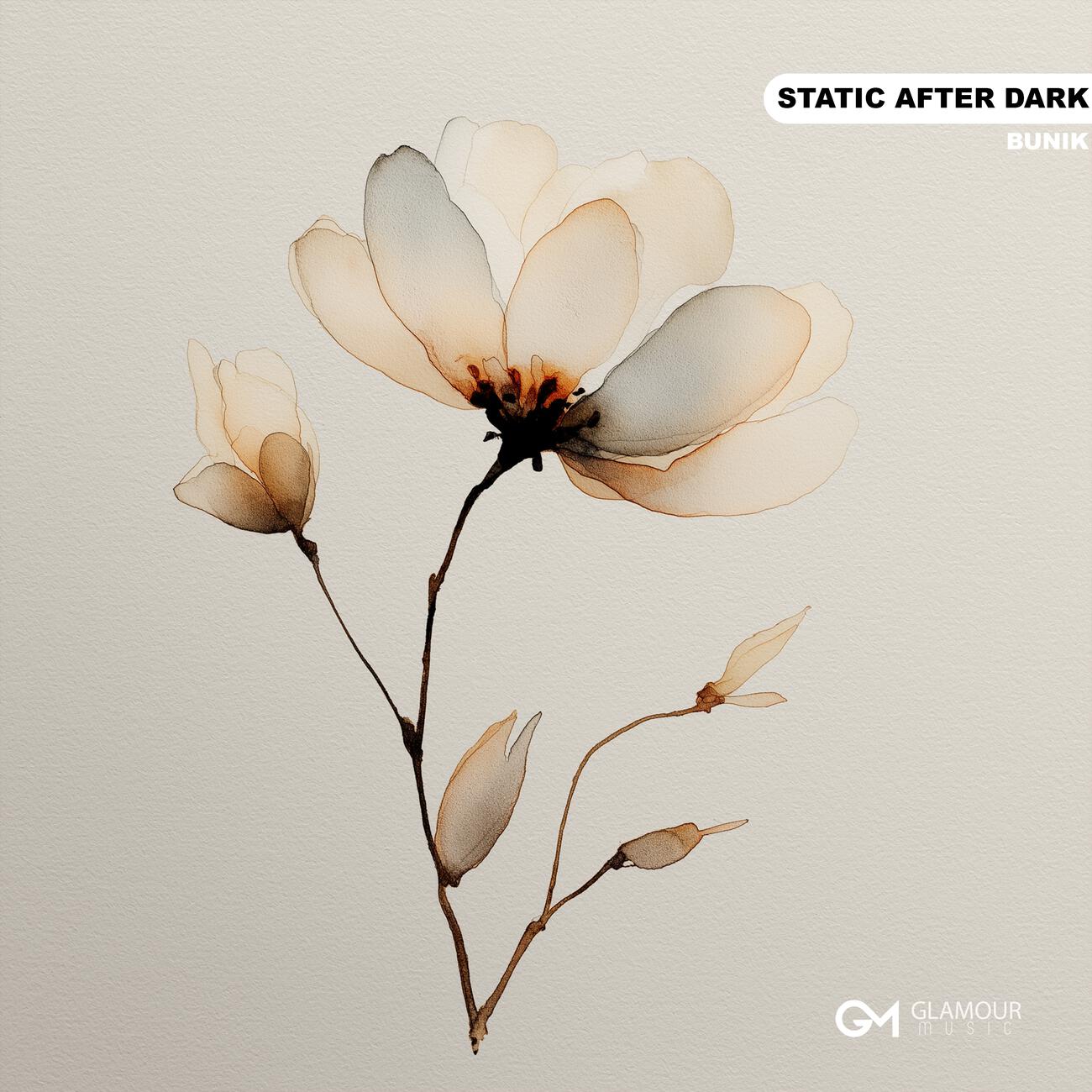Релиз Static After Dark