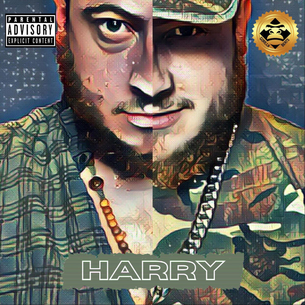 Релиз Harry