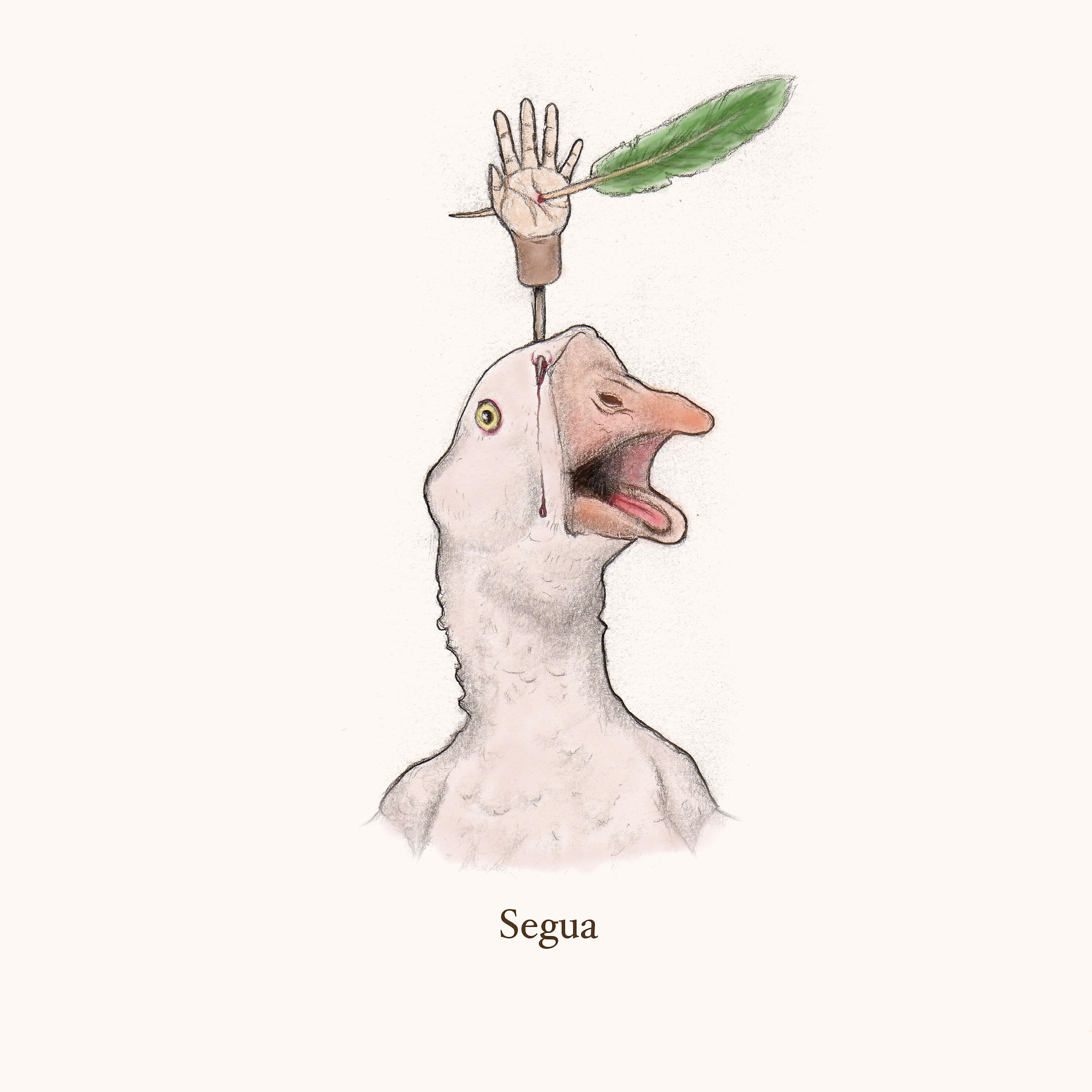 Постер альбома Segua