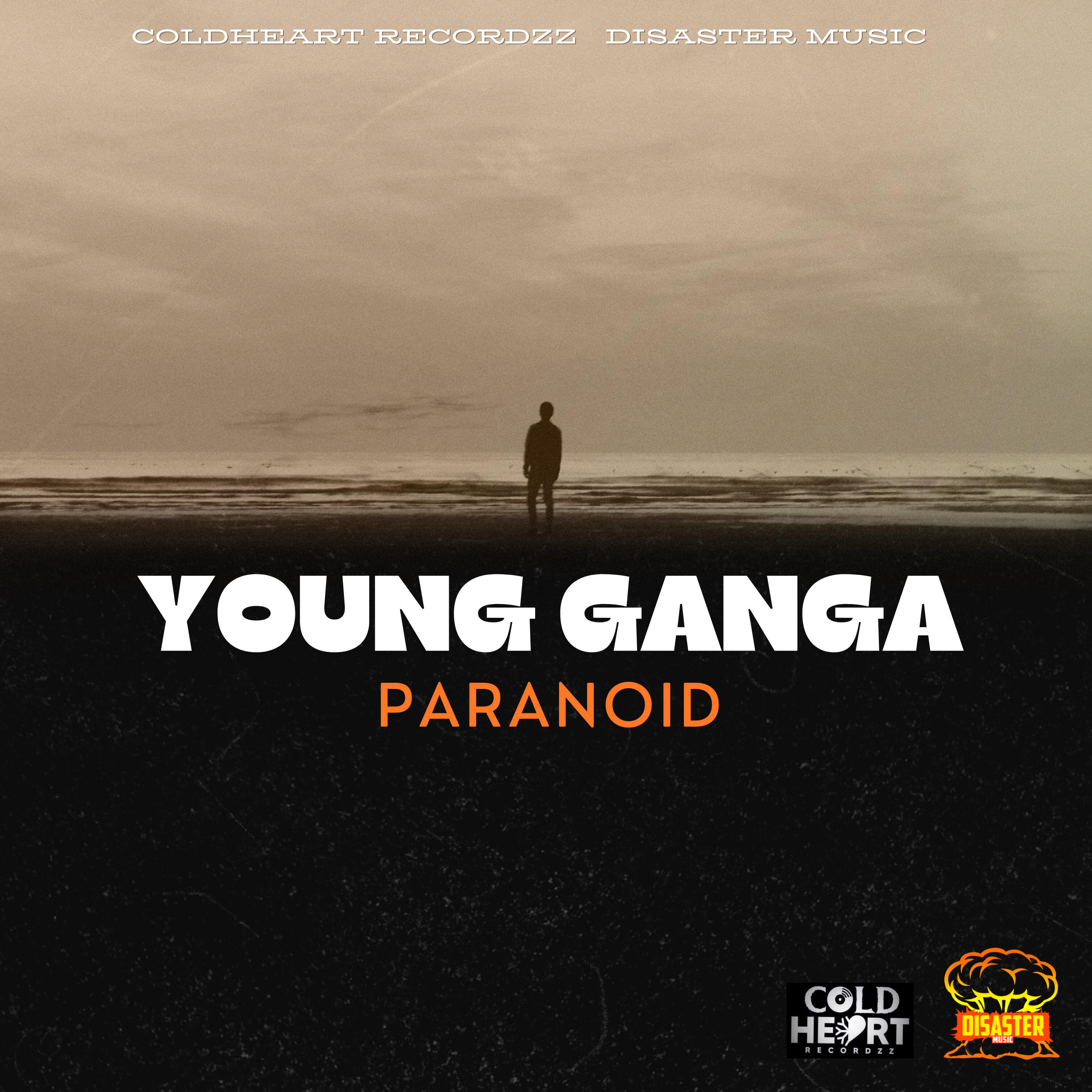 Релиз Paranoid