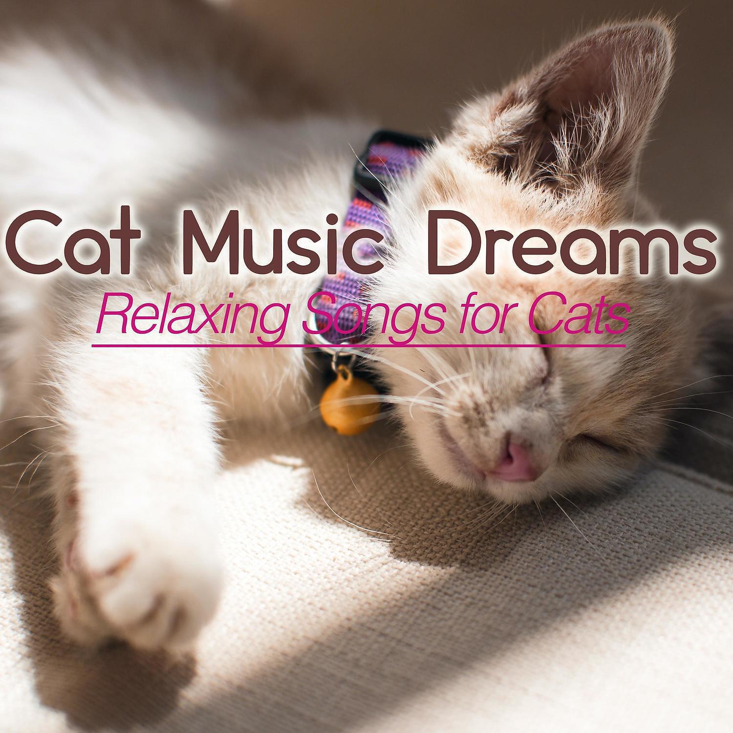 Релиз Cat Music Dreams: Relaxing Songs for Cats