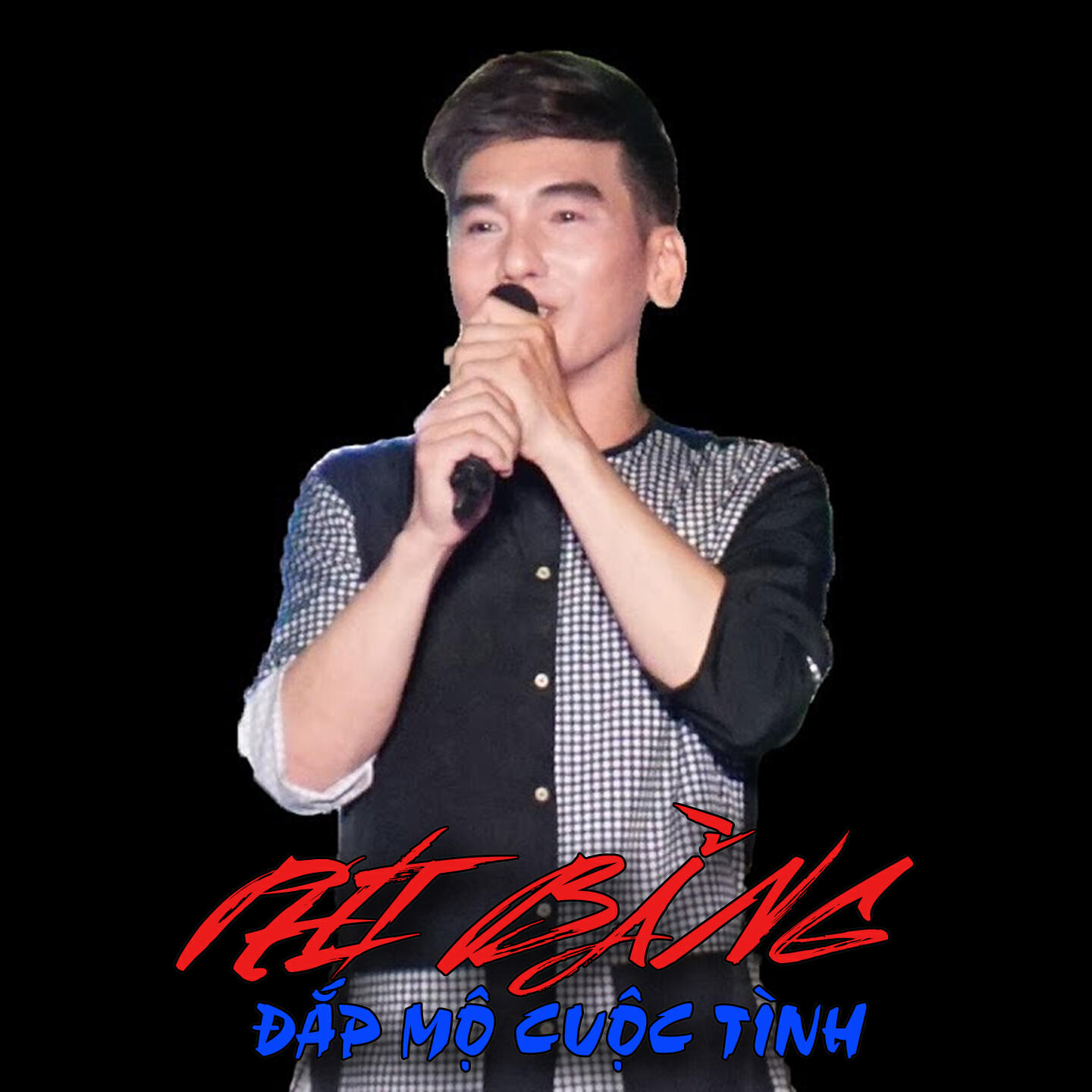 Релиз Đắp Mộ Cuộc Tình